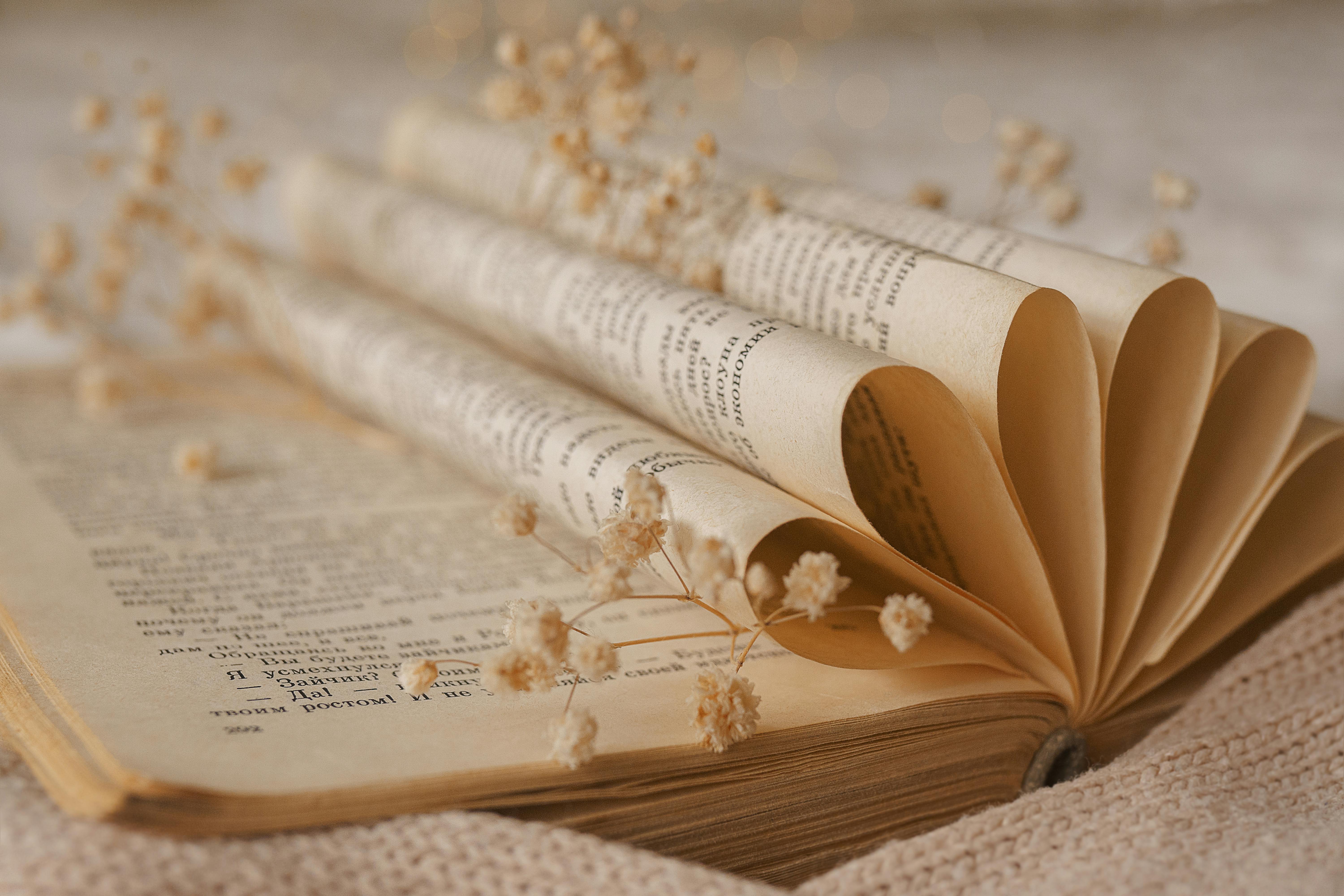 White Flowers Over an Open Book Pages · Free