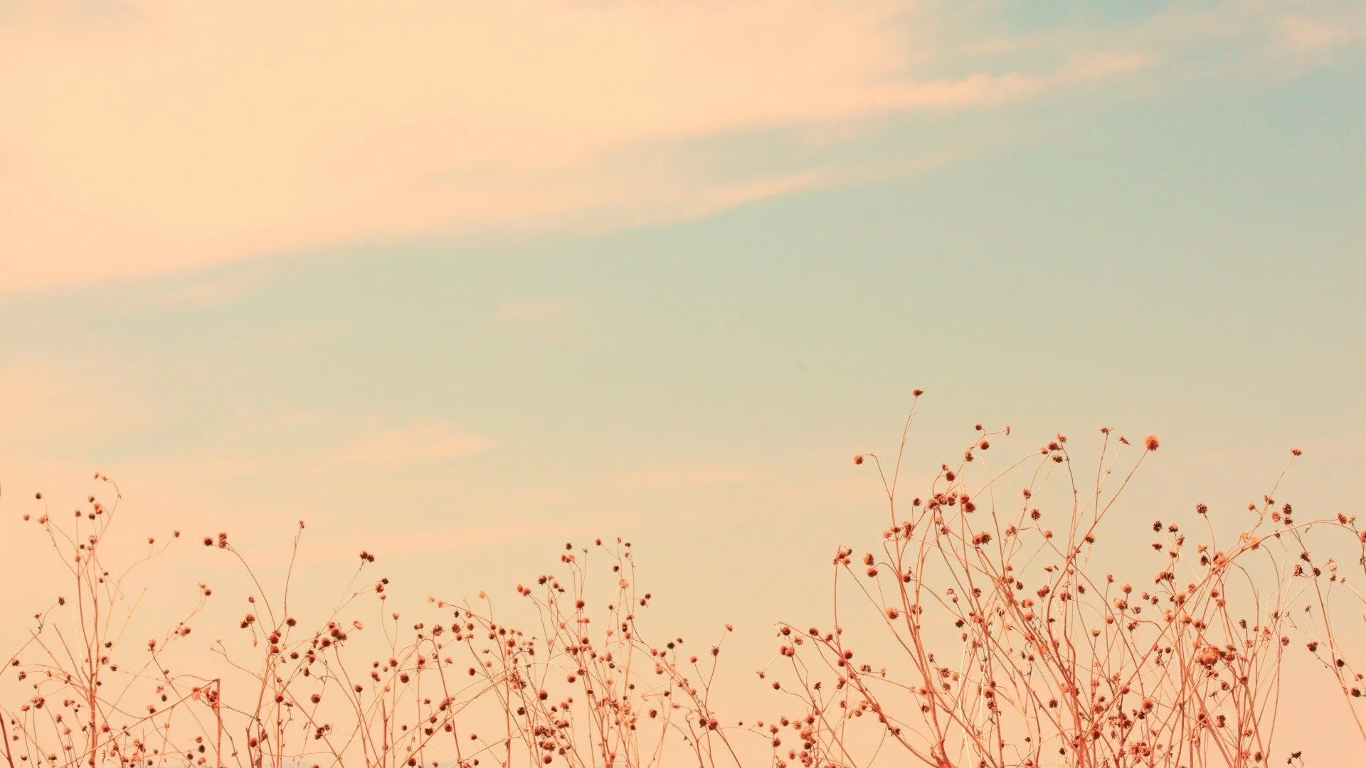 Best Aesthetic Minimalist Wallpaper For Desktop, PC, Laptop, Computer [ 4k, HD ]