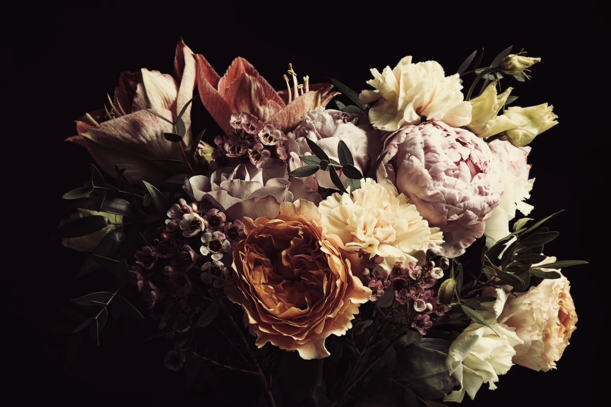 Dark Flowers Terracotta Botanical Wallpaper Mural Flowers on
