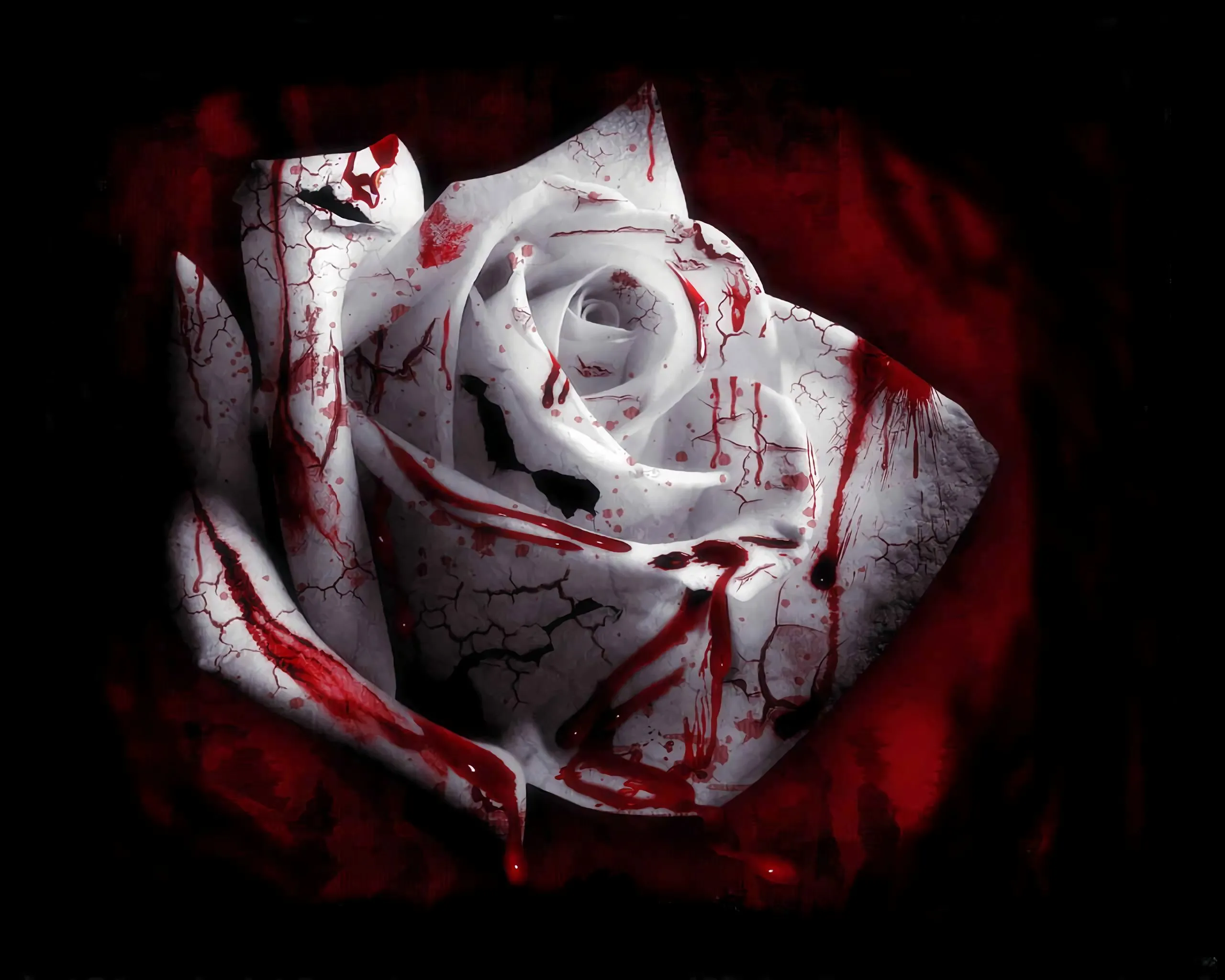 Desktop wallpaper: Dark, Flower, White Flower, Blood, White Rose 4K free download for PC. 1077390