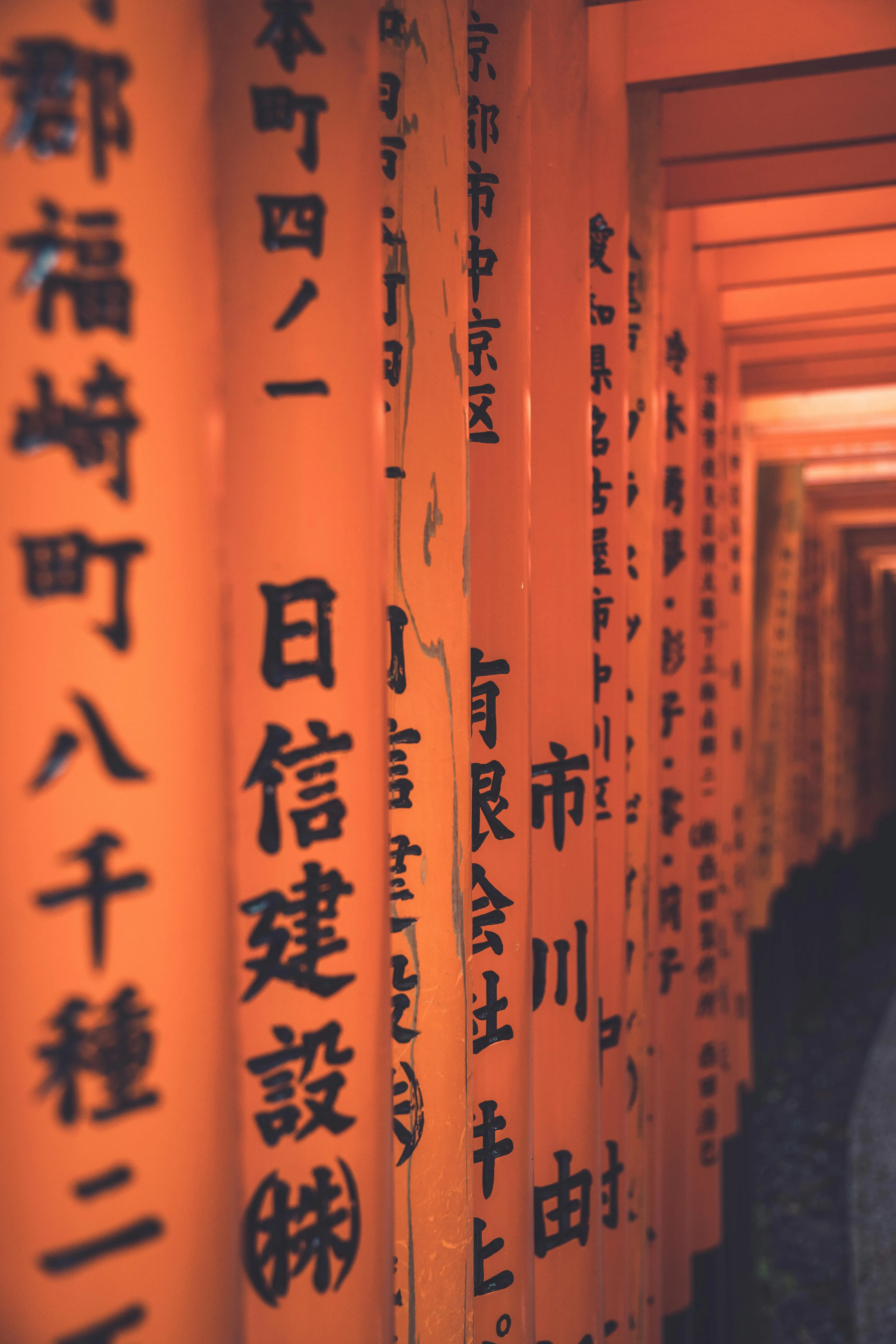 Torii Gates with Japanese Calligraphy in Kyoto · Free