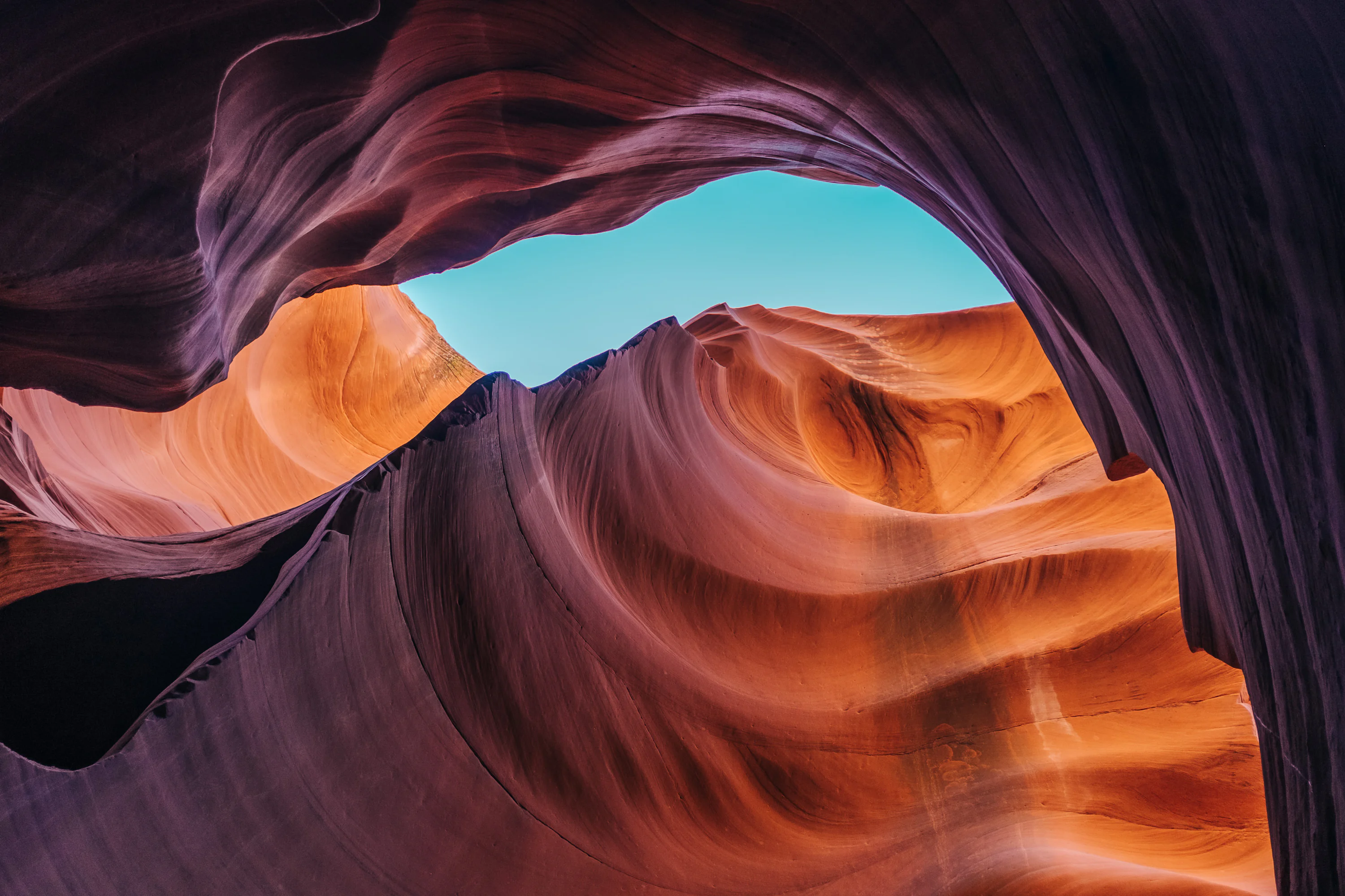 Apple Wallpaper: Free HD Download [4K]