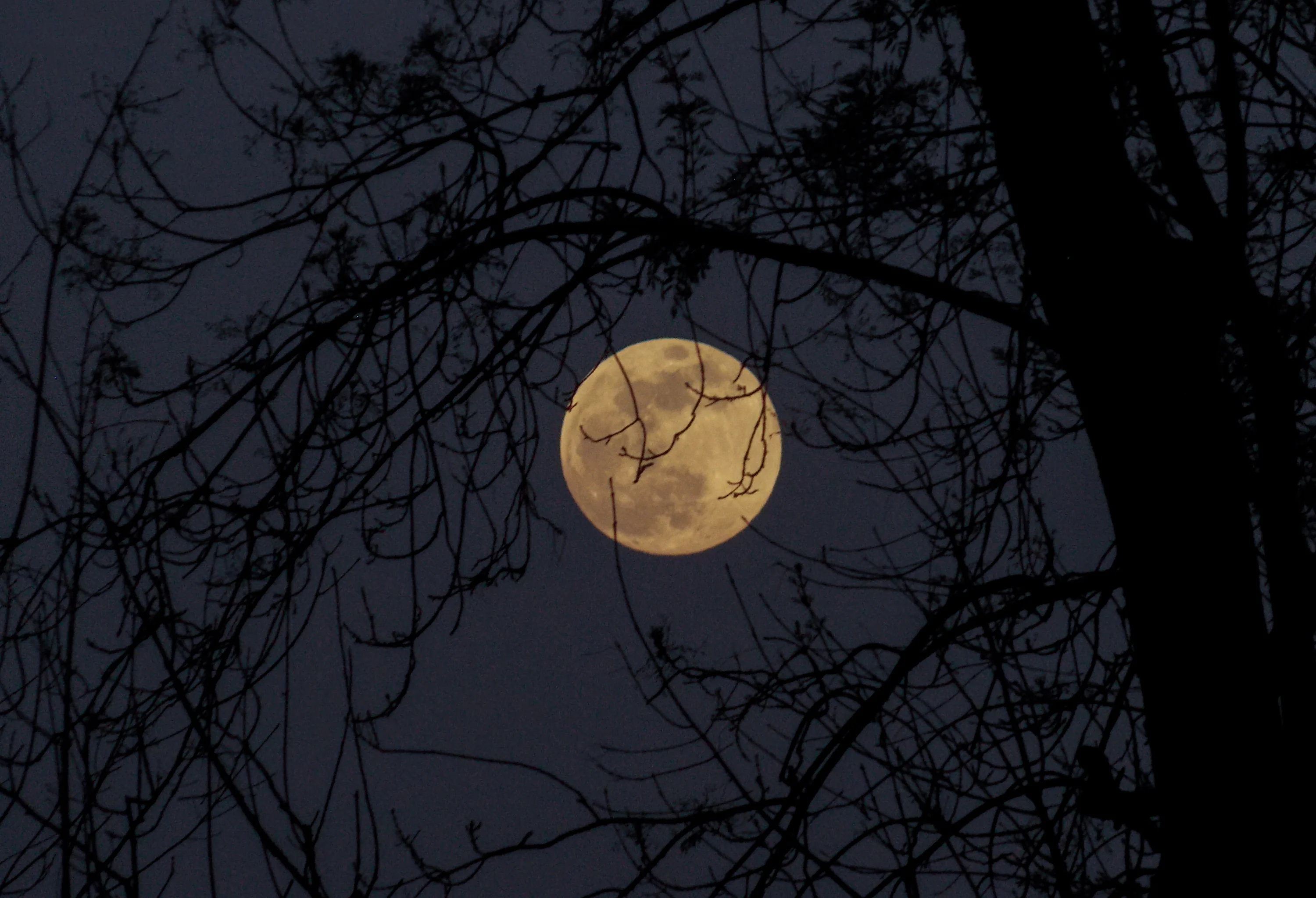 Moon Wallpaper: Free HD Download [4K]