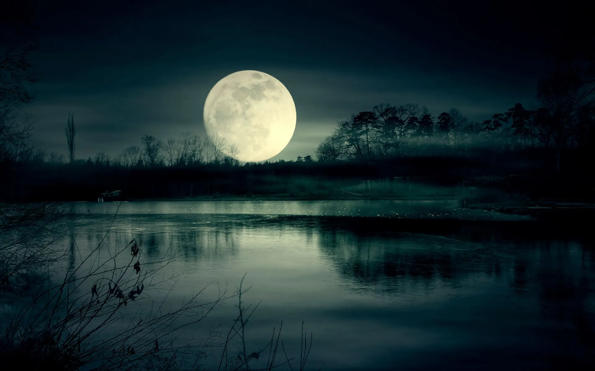 Full Moon Night Near Lake Wallpaper, HD Nature 4K Wallpaper, Image and Background