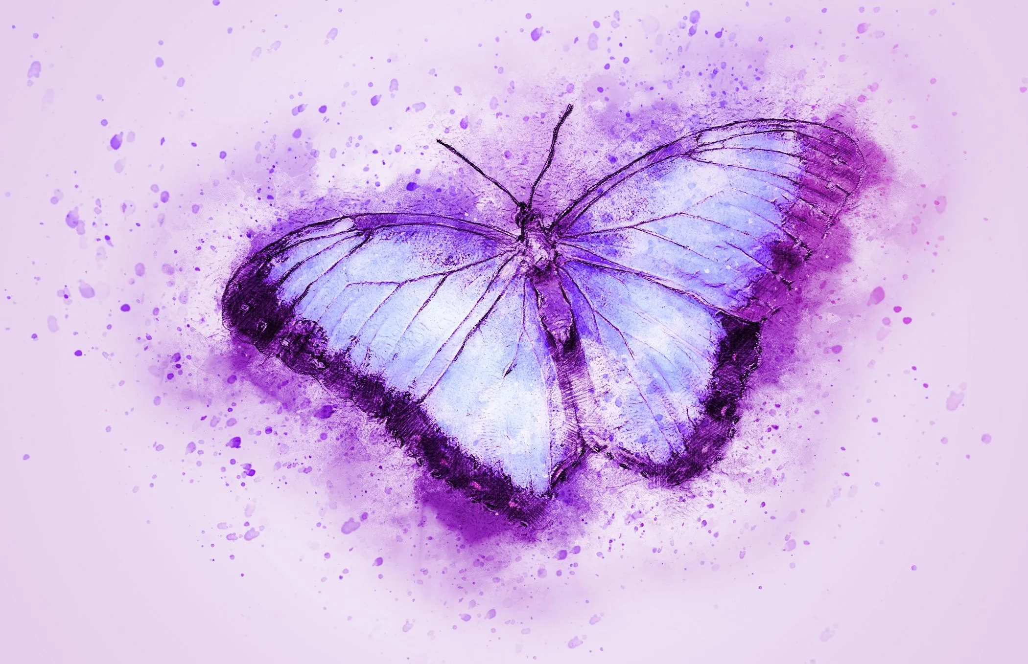 Desktop wallpaper: Purple, Watercolor, Artistic, Butterfly, Insect 4K free download for PC. 836058