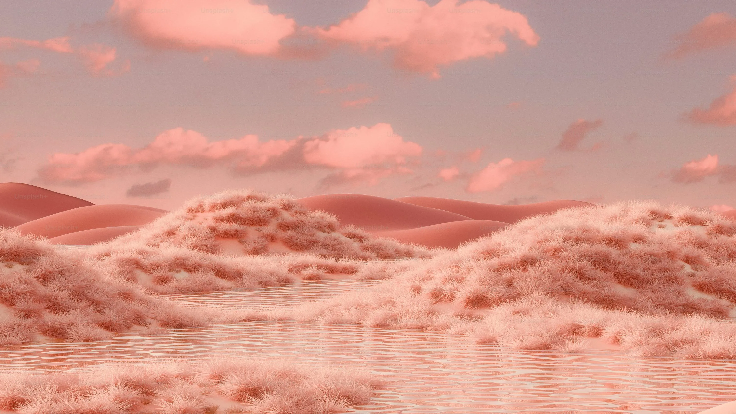 Pink, fluffy desert landscape with water reflections. photo