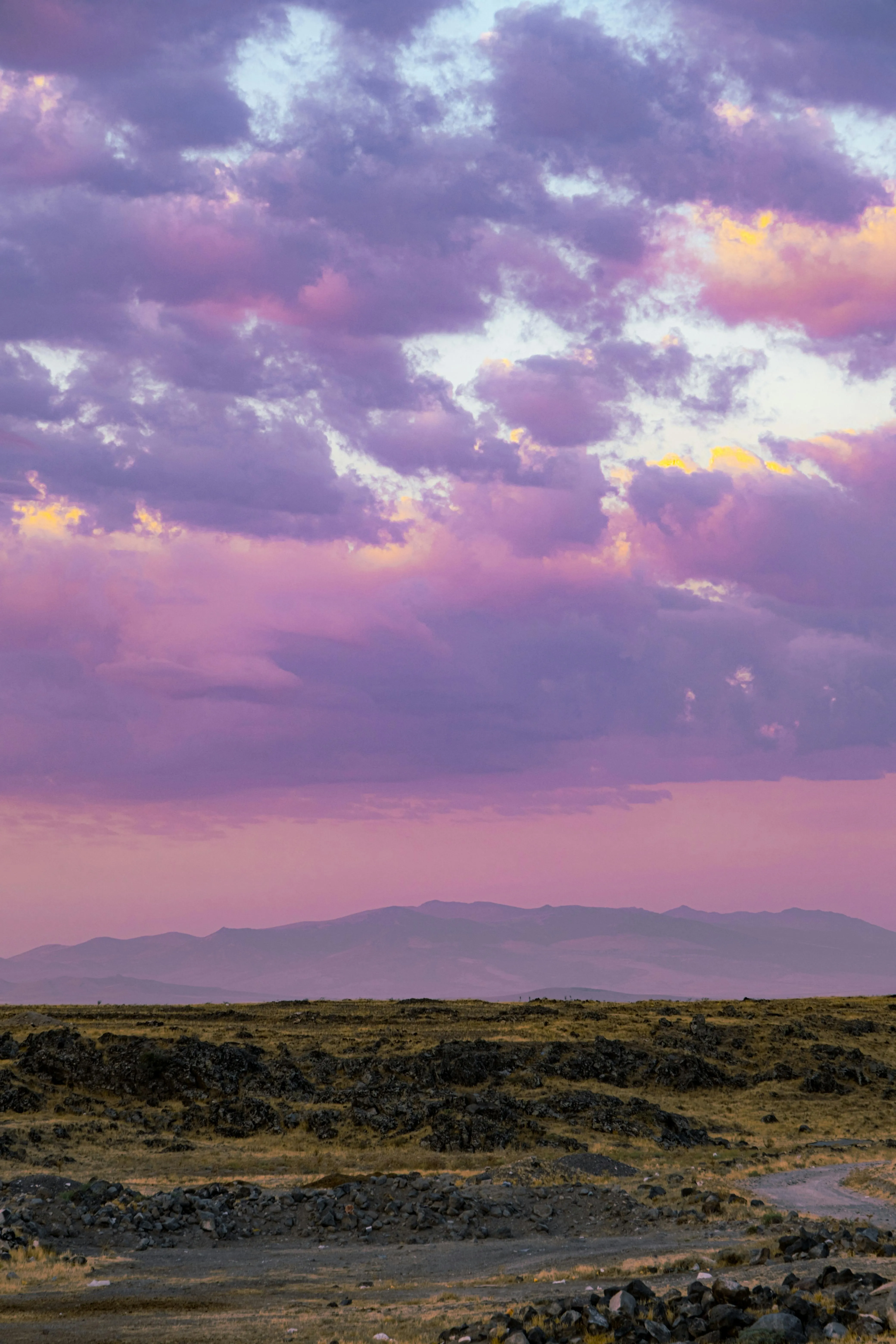 Stunning Purple Sunset Over Desert Landscape · Free