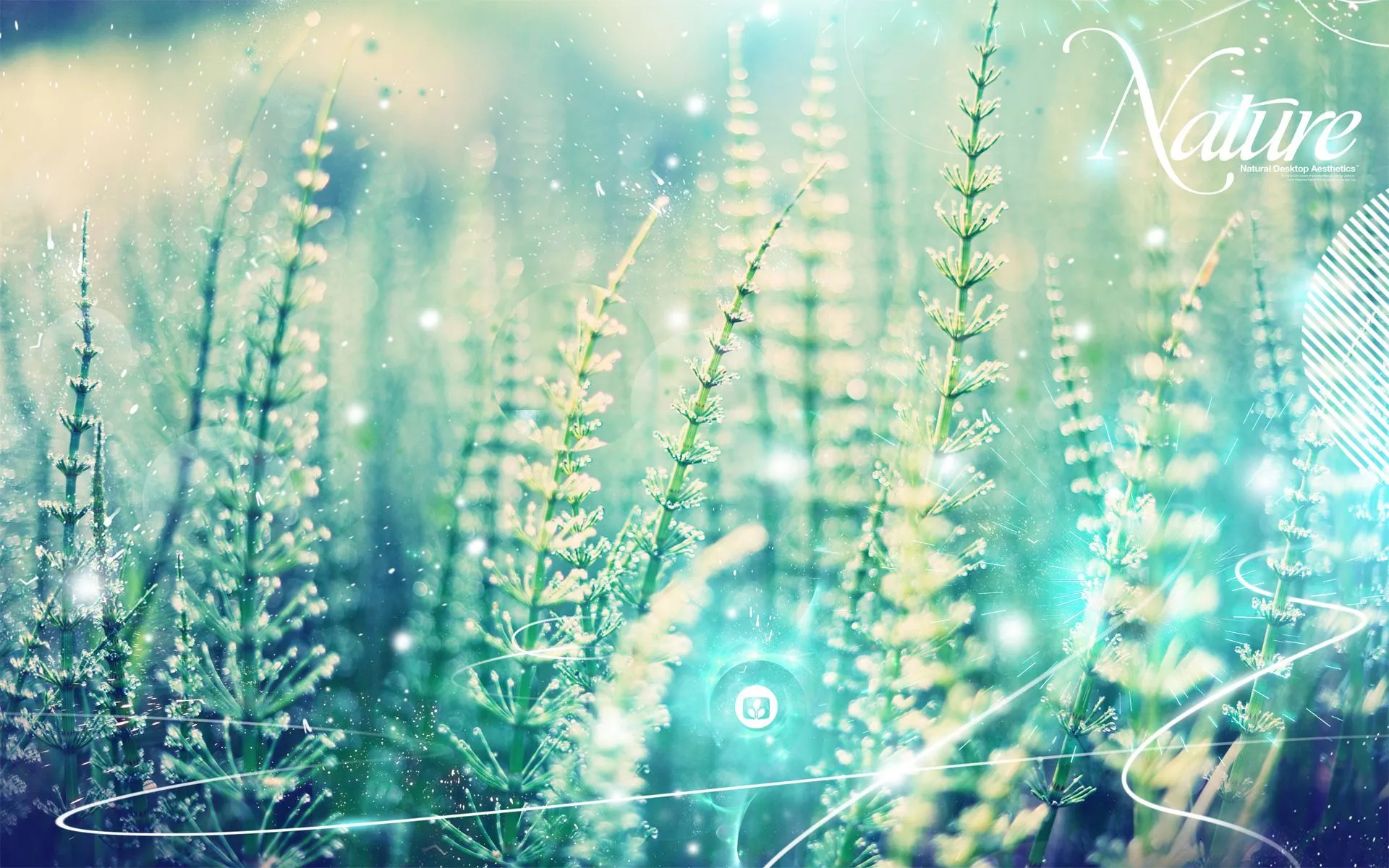 Aesthetic Nature Wallpaper 1920x1200 56451