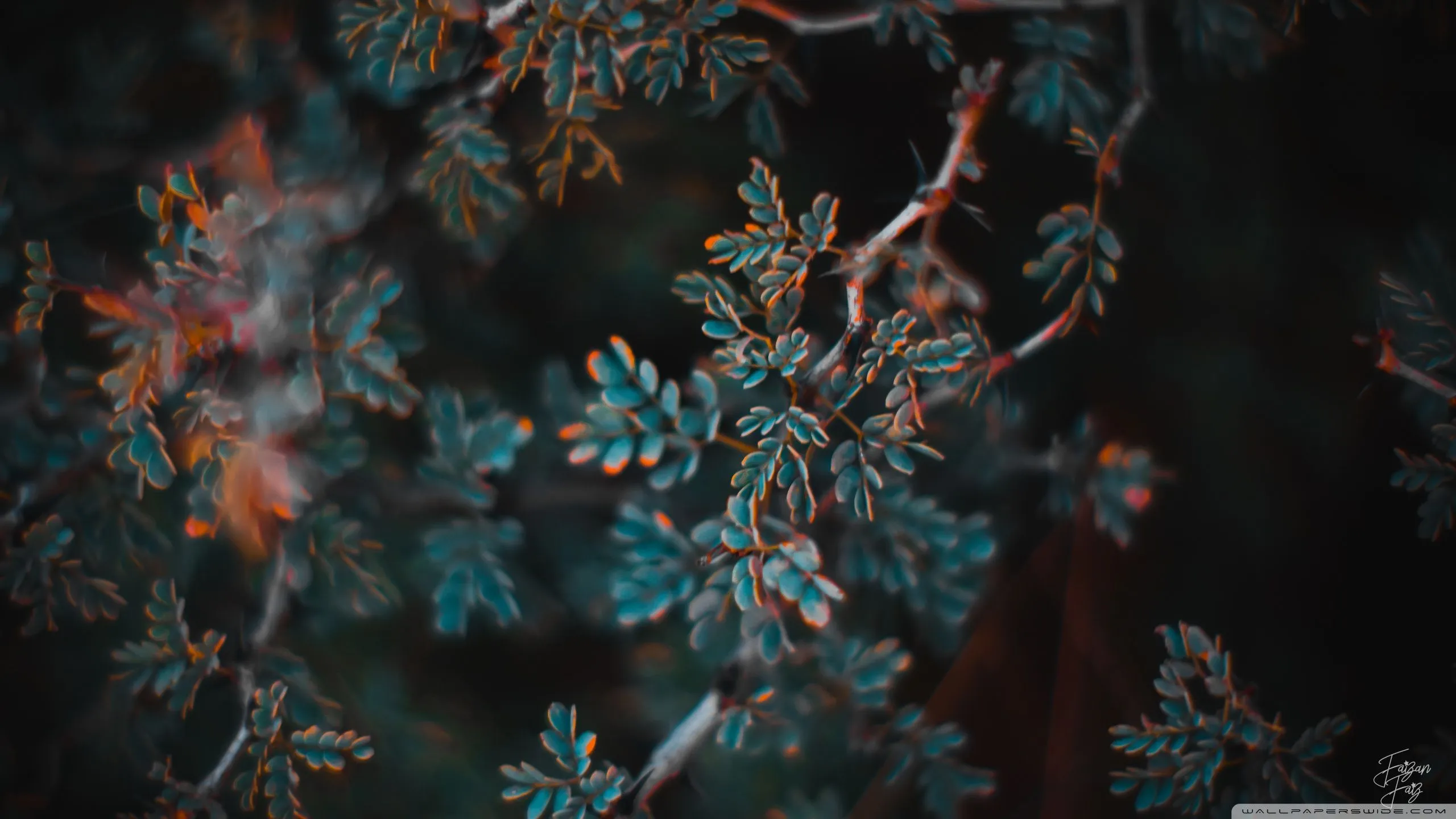 Teal and Orange 4K UHD Wallpaper for UltraHD Desktop and TV, Widescreen and UltraWide Display, Smartphone and Tablet Devices
