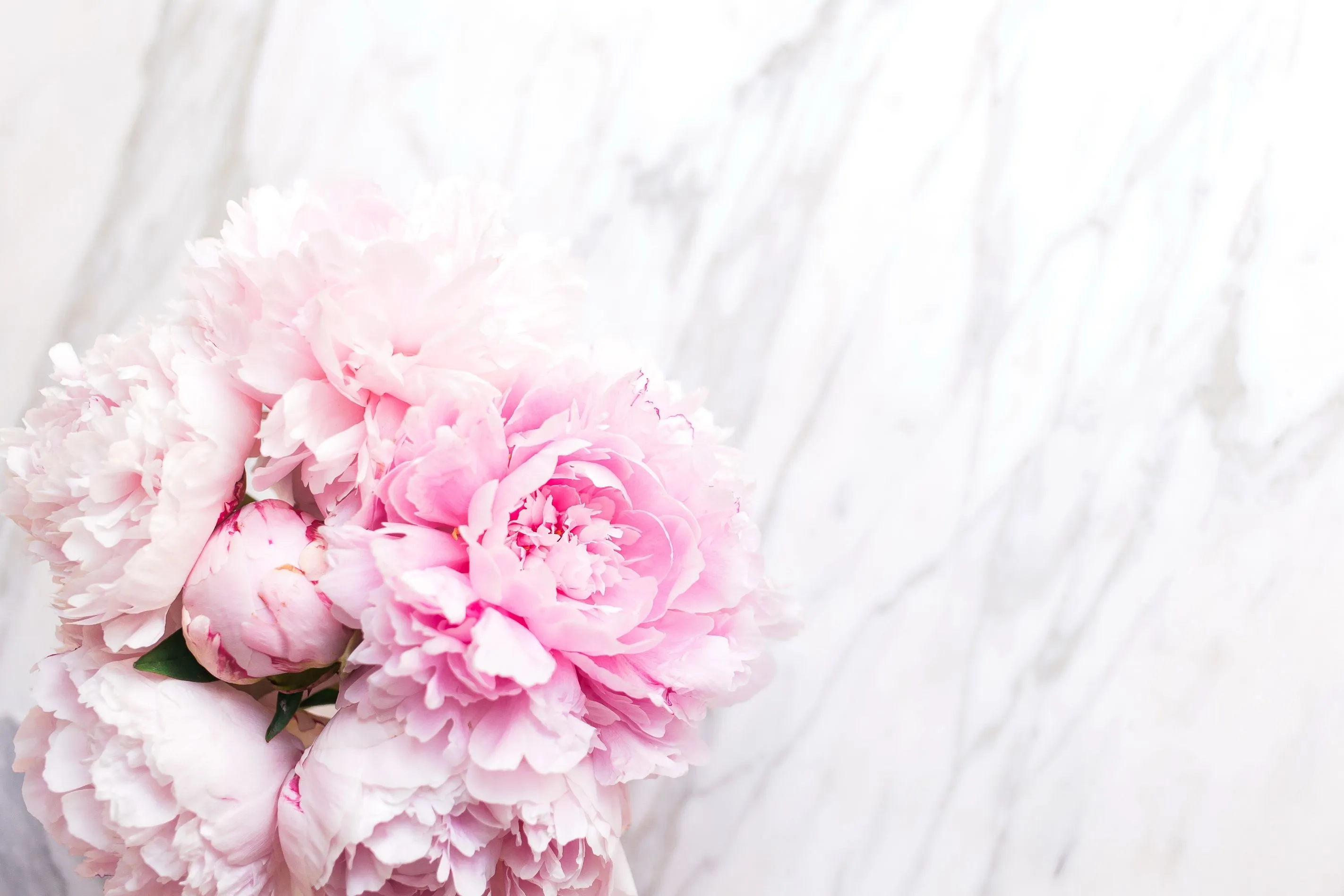 Wallpaper flowers, bouquet, marble, pink, flowers, peonies, peonies, tender for mobile and desktop, section цветы, resolution 2845x1897