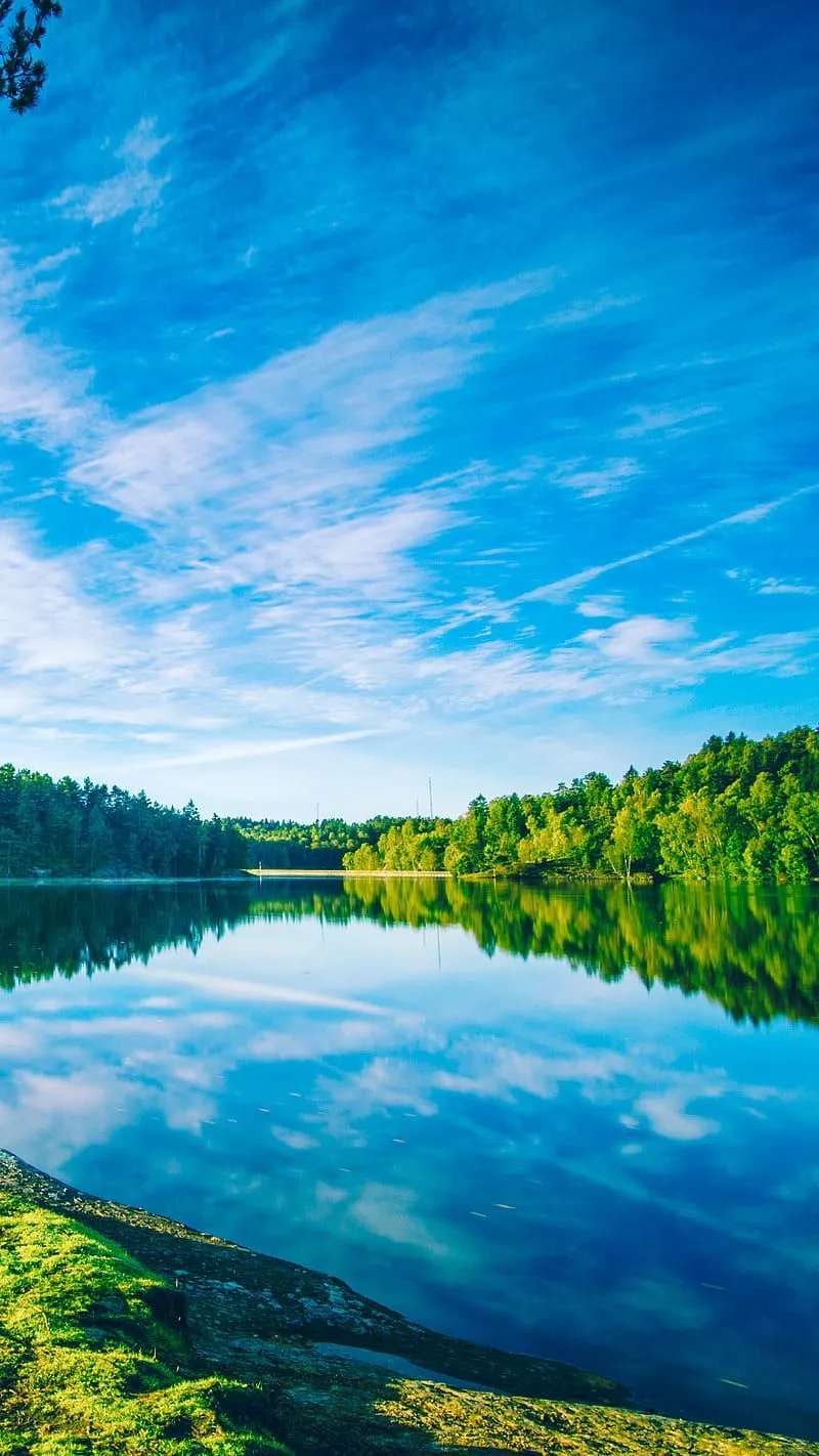 Scenery, lake, nature, trees, spring, sky, river, HD phone wallpaper