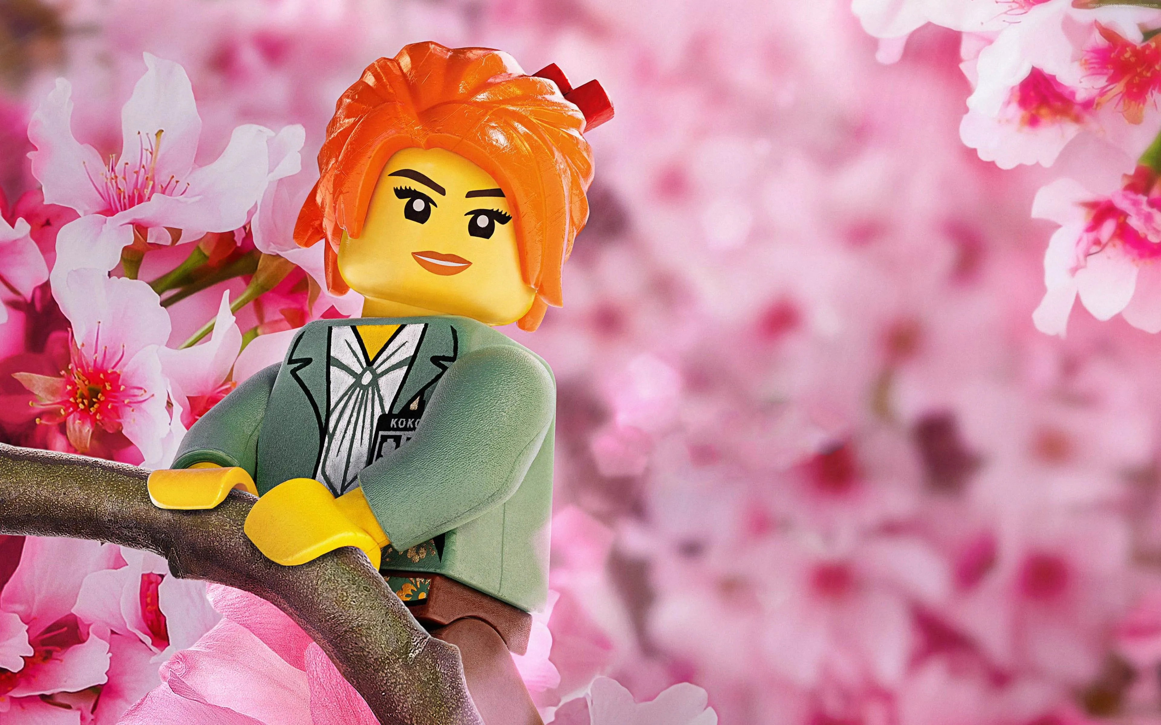LEGO Ninjago wallpaper HD wallpaper