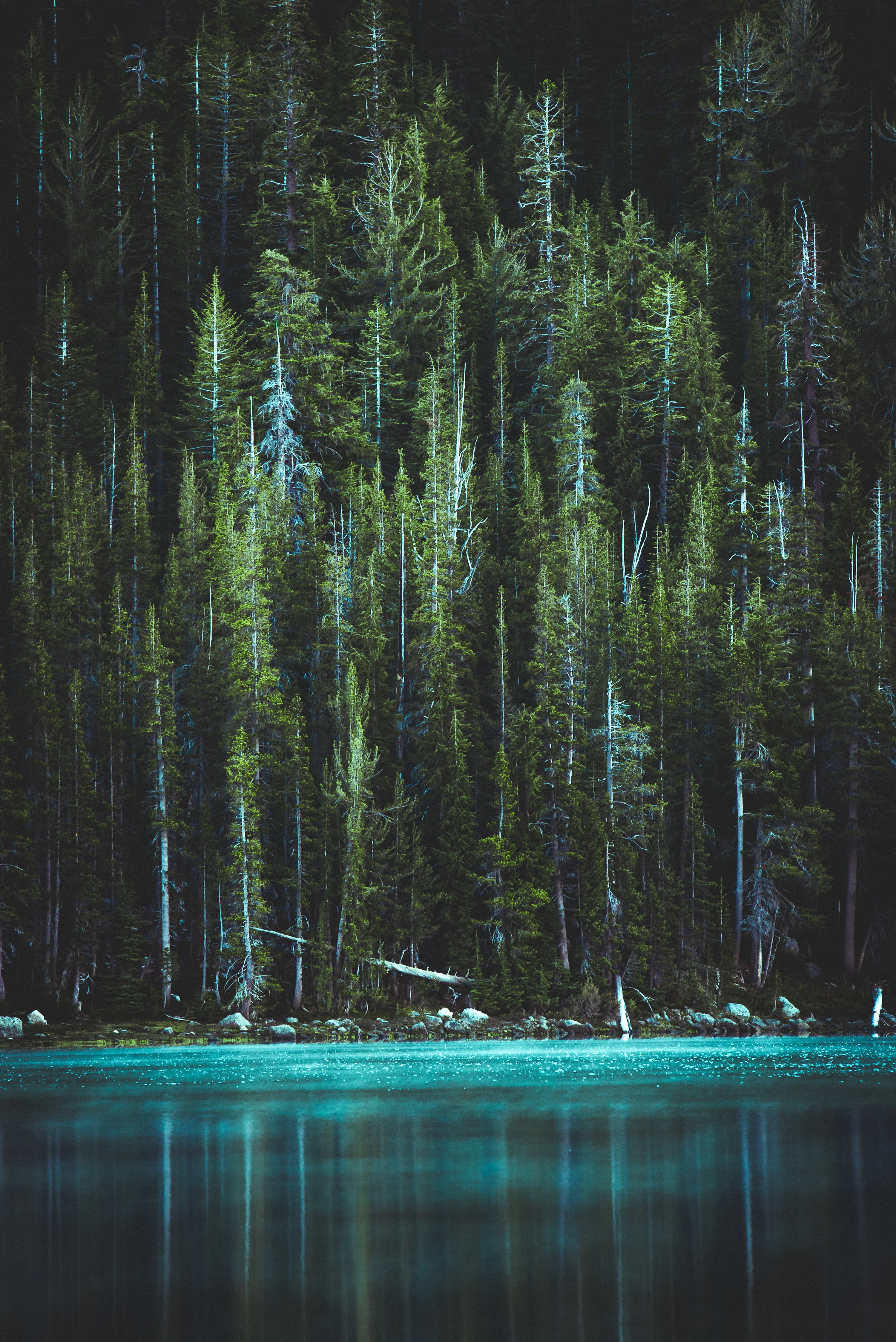 Vertical Landscape Picture [Stunning!]. Download Free Image