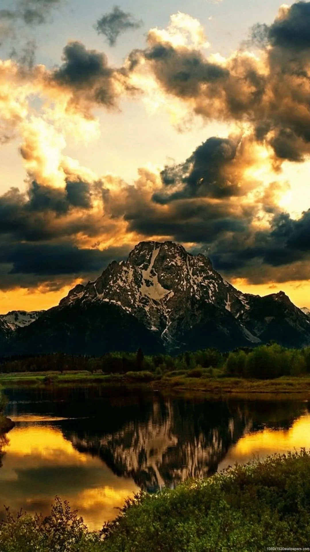 Download Enjoy the beauty of nature in the vertical view Wallpaper
