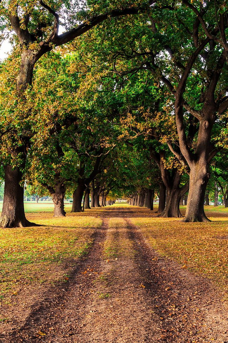 Landscape vertical 1080P, 2K, 4K, 5K HD wallpaper free download