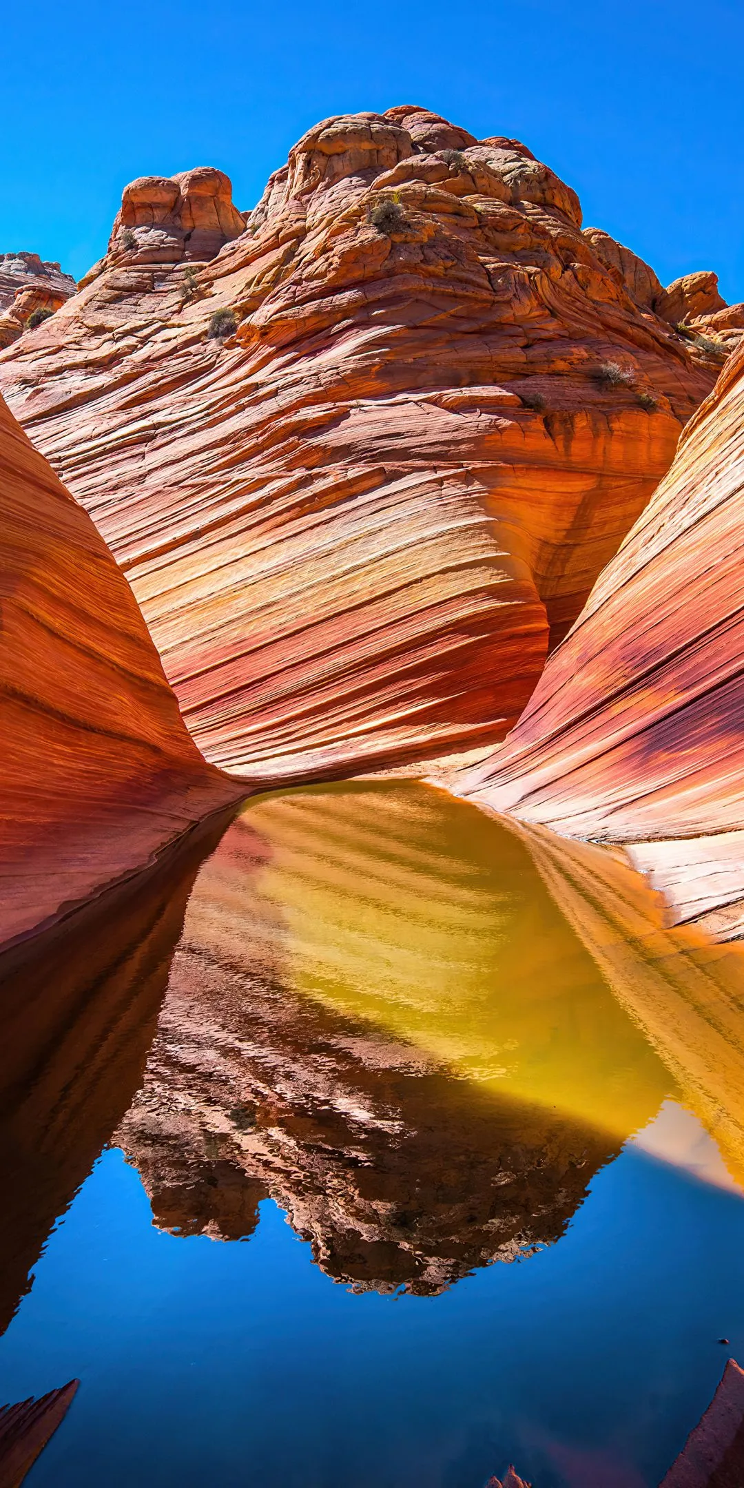 Phone wallpaper: Earth, Canyon, Nature, Reflection, Canyons 1179515