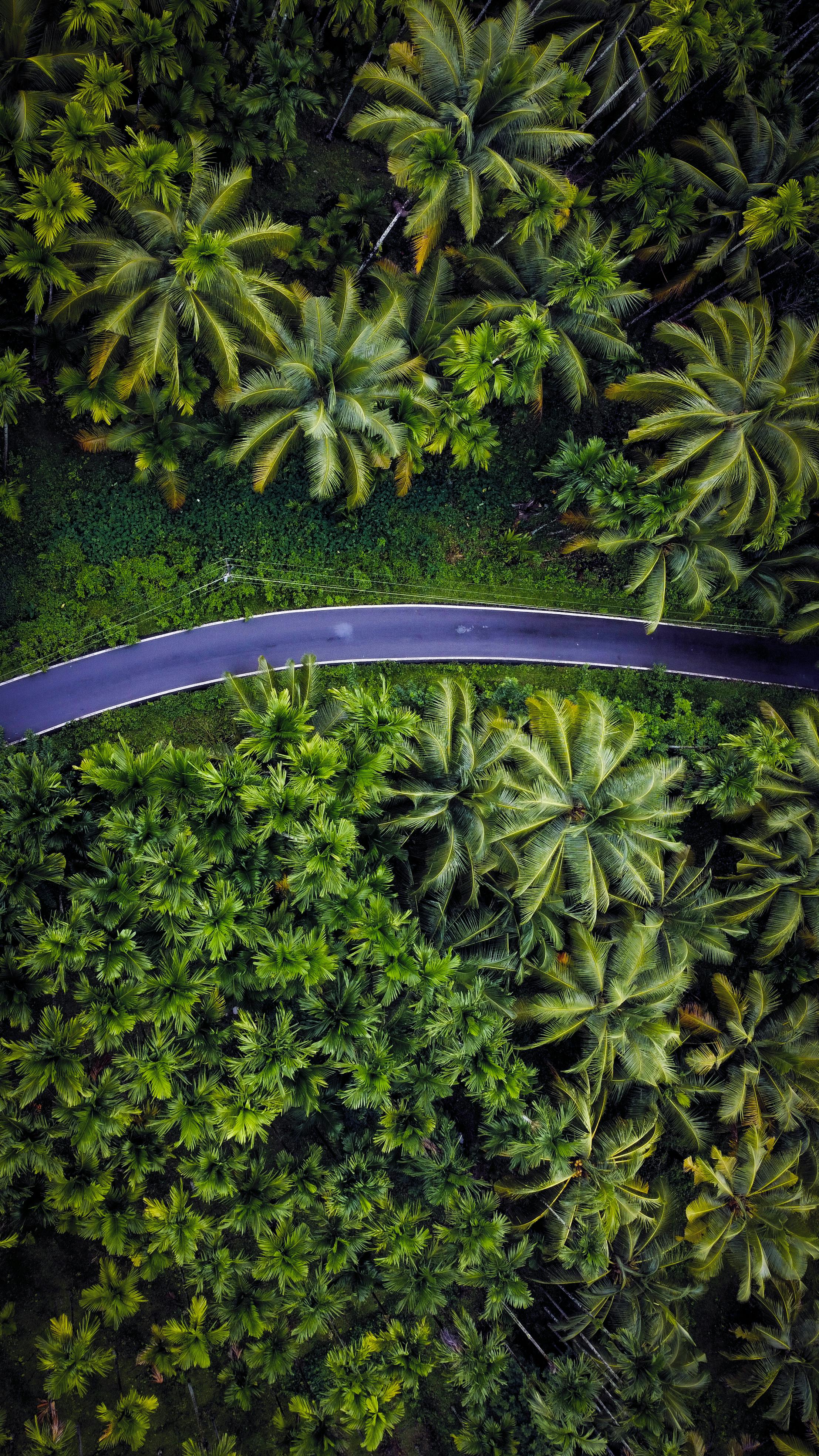 1,000,Best Nature Wallpaper Photo · 100% Free Downloads