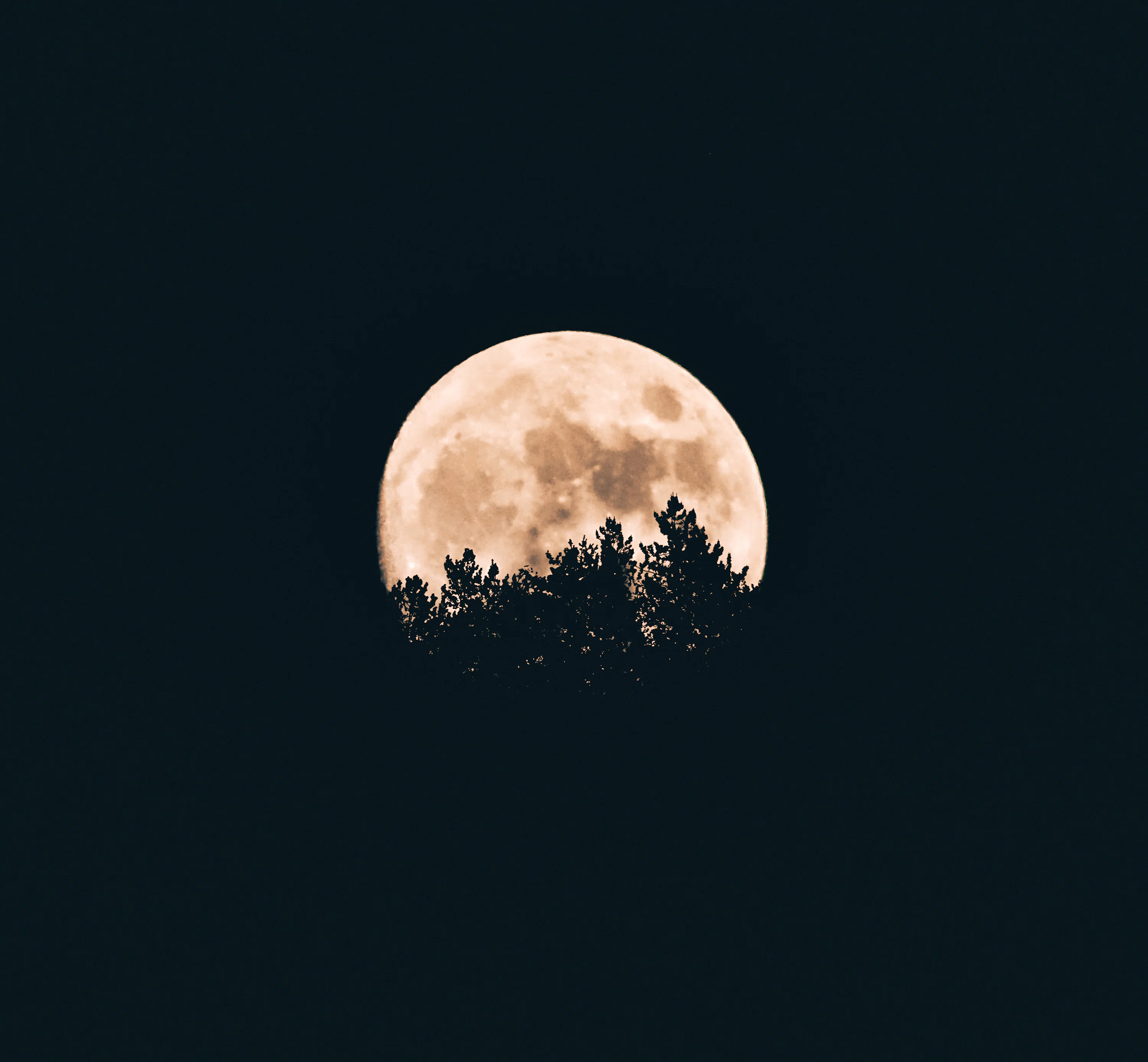 Moon Wallpaper: Free HD Download [4K]