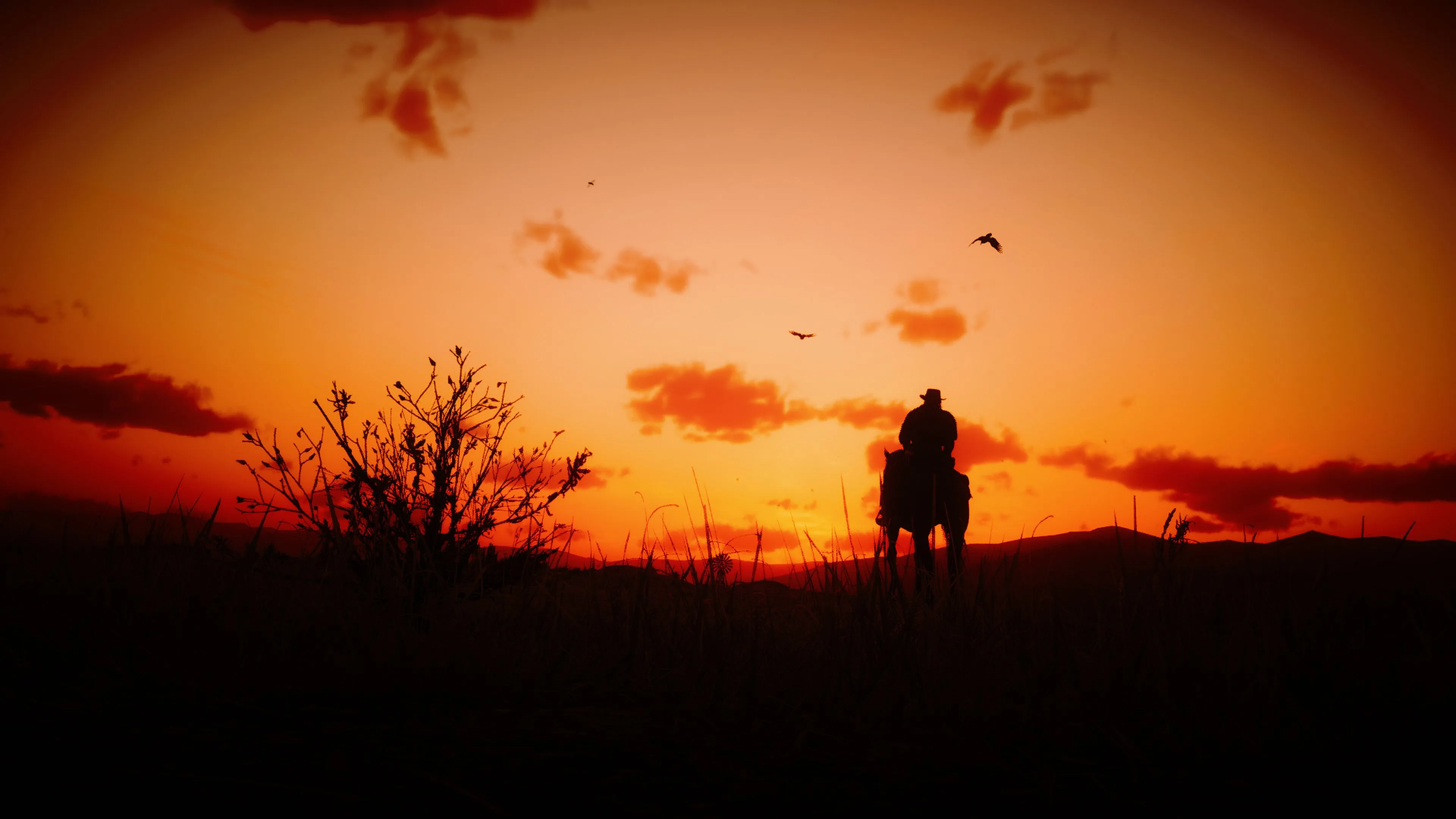 Red Dead Redemption 2 Horizontal Cool Wallpaper, HD Games 4K Wallpaper, Image and Background
