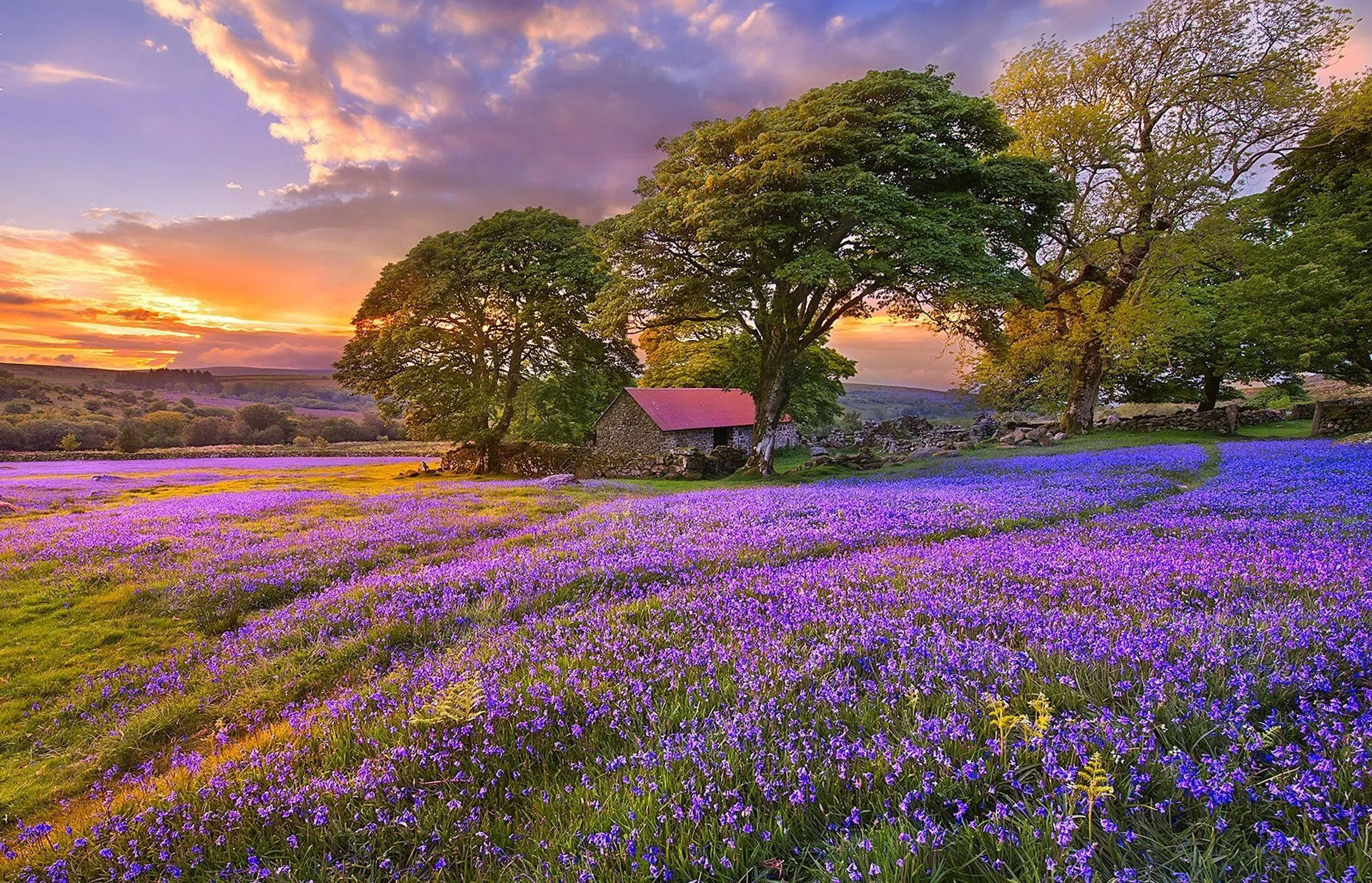 Lilac Sunset Serenity Nature Wallpaperx1236