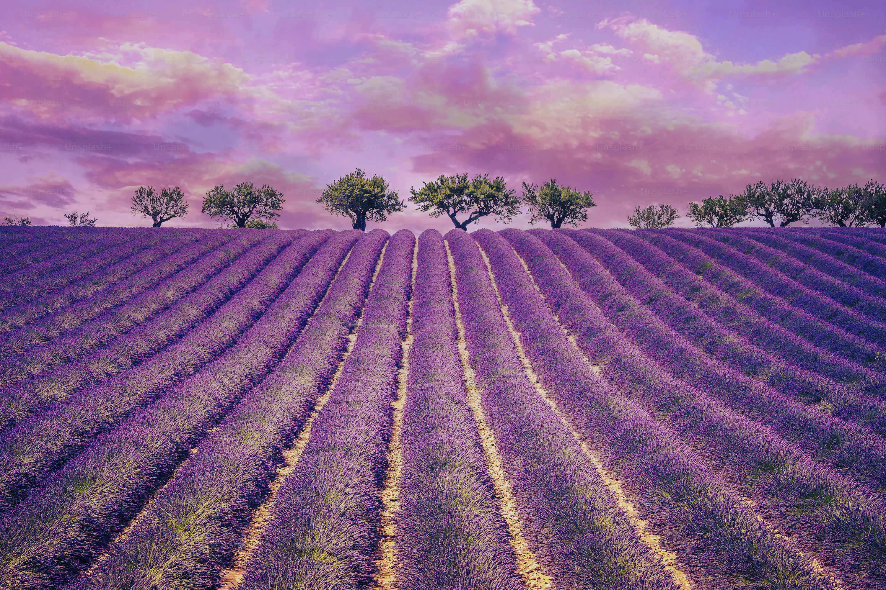 Purple Landscape Picture. Download Free Image
