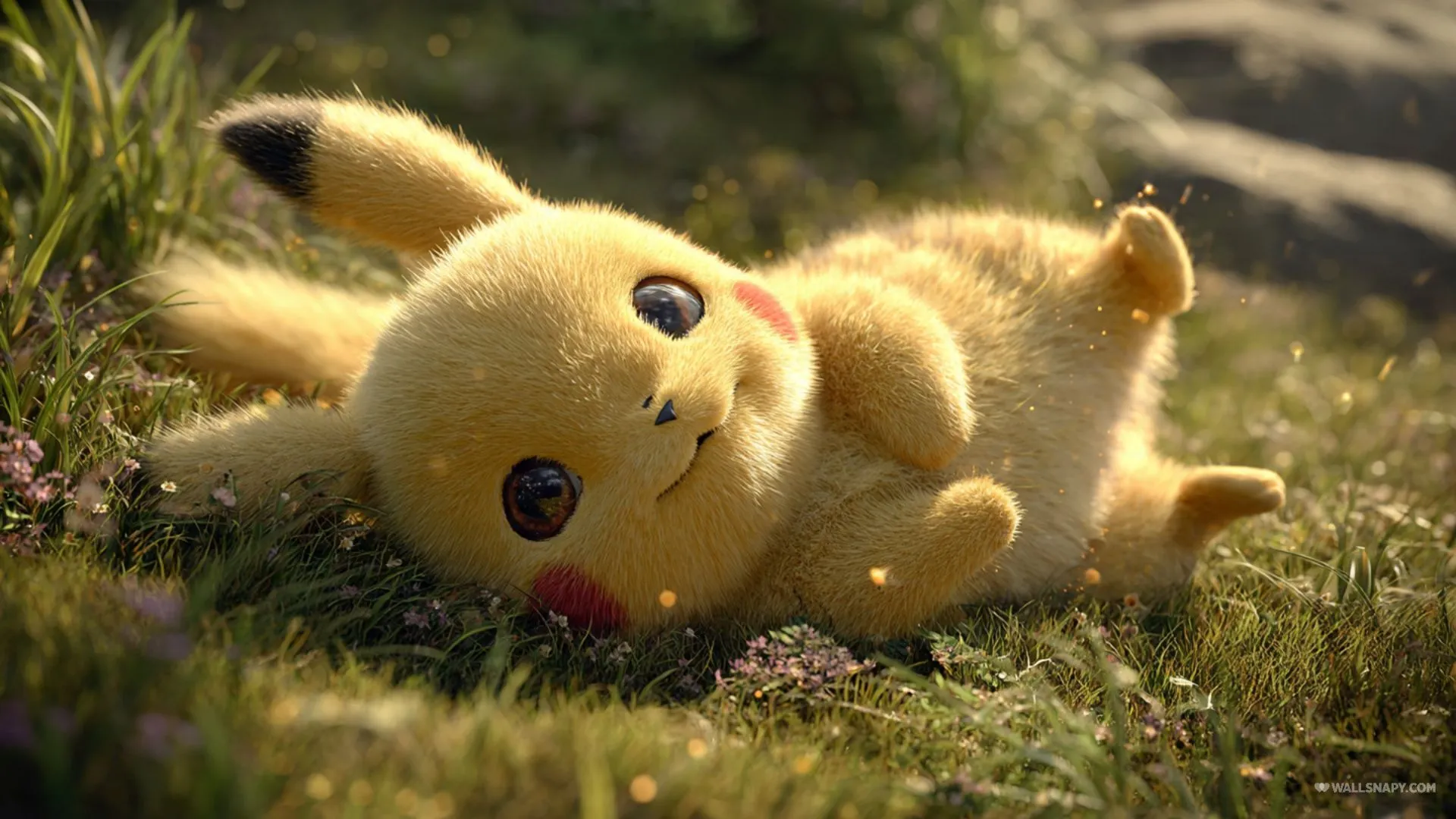 Cute pikachu wallpaper for tablets desktop free dowload