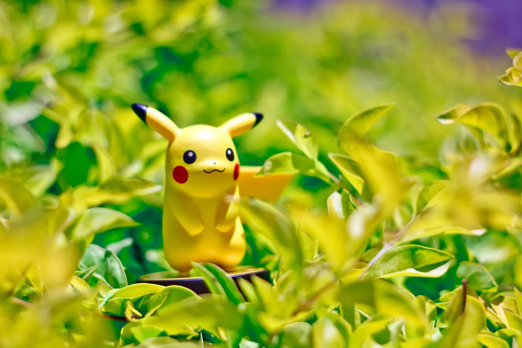Shallow photography on Pikachu figure from Pokemon standing on plants during daytime HD wallpaper