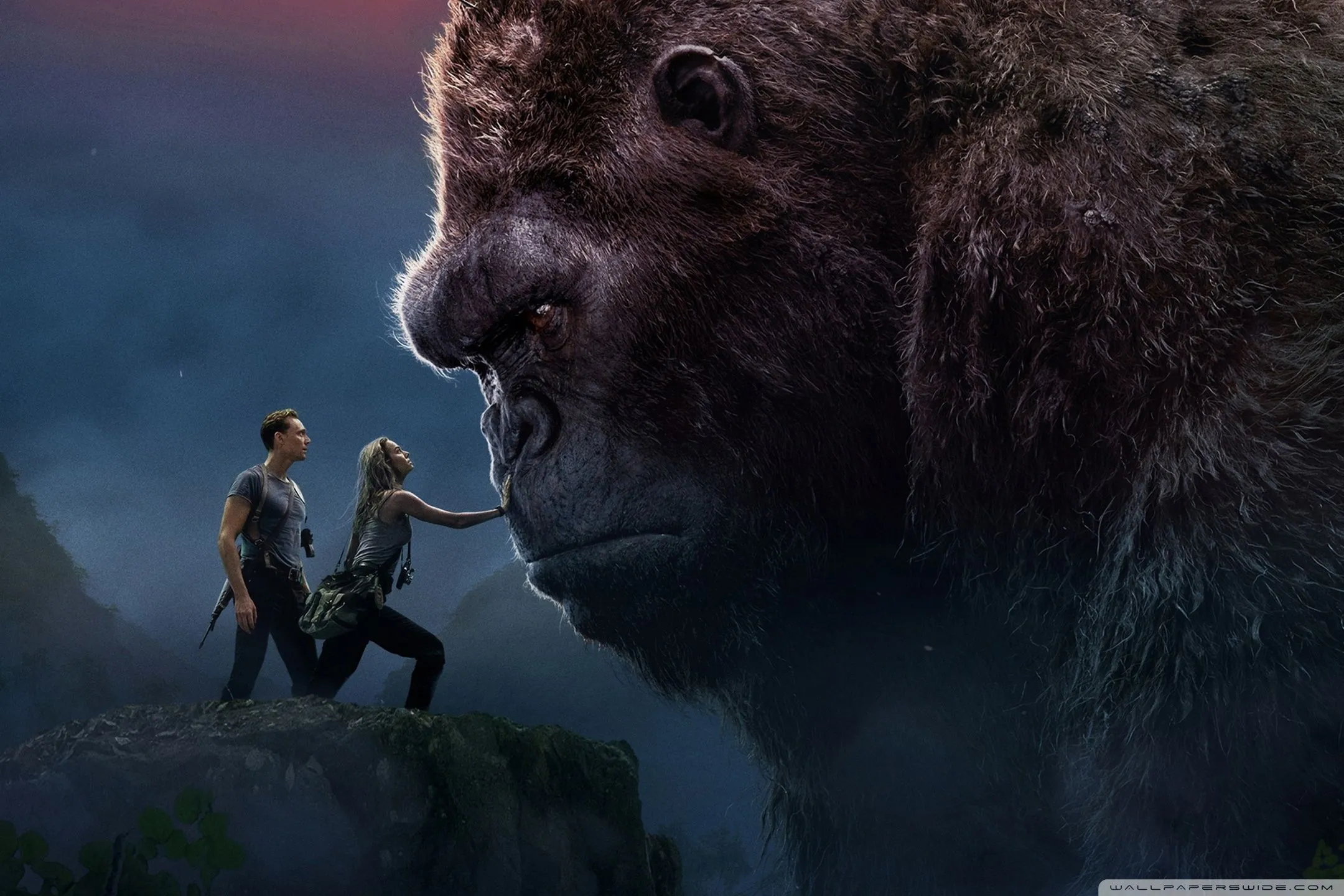 King Kong 4K UHD Wallpaper for UltraHD Desktop and TV, Widescreen and UltraWide Display, Smartphone and Tablet Devices