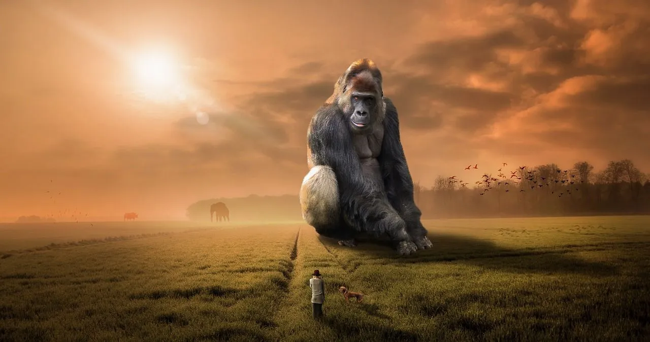 Free Kingkong & Gorilla Image