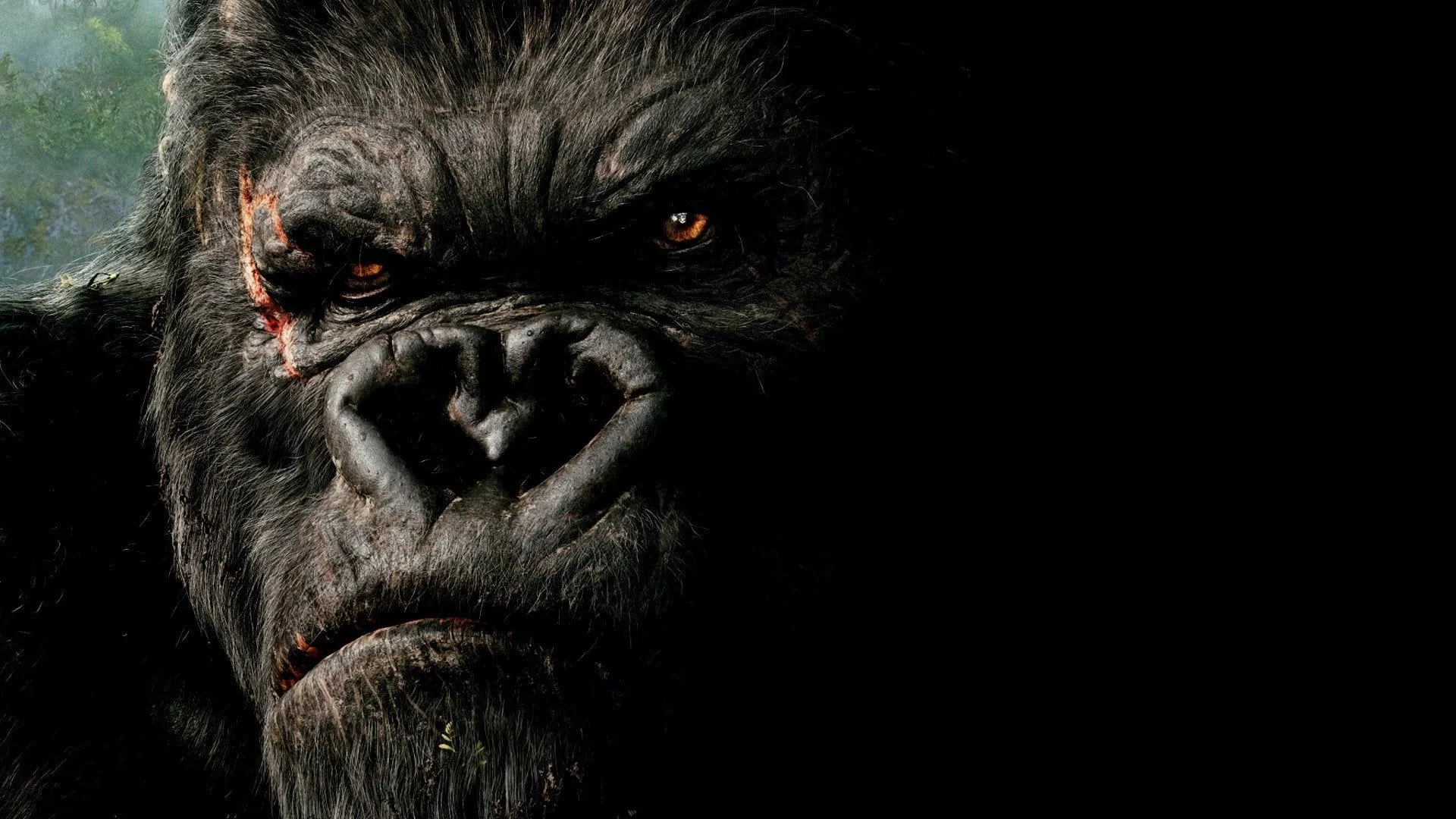 Black gorilla 3D wallpaper, King Kong HD wallpaper