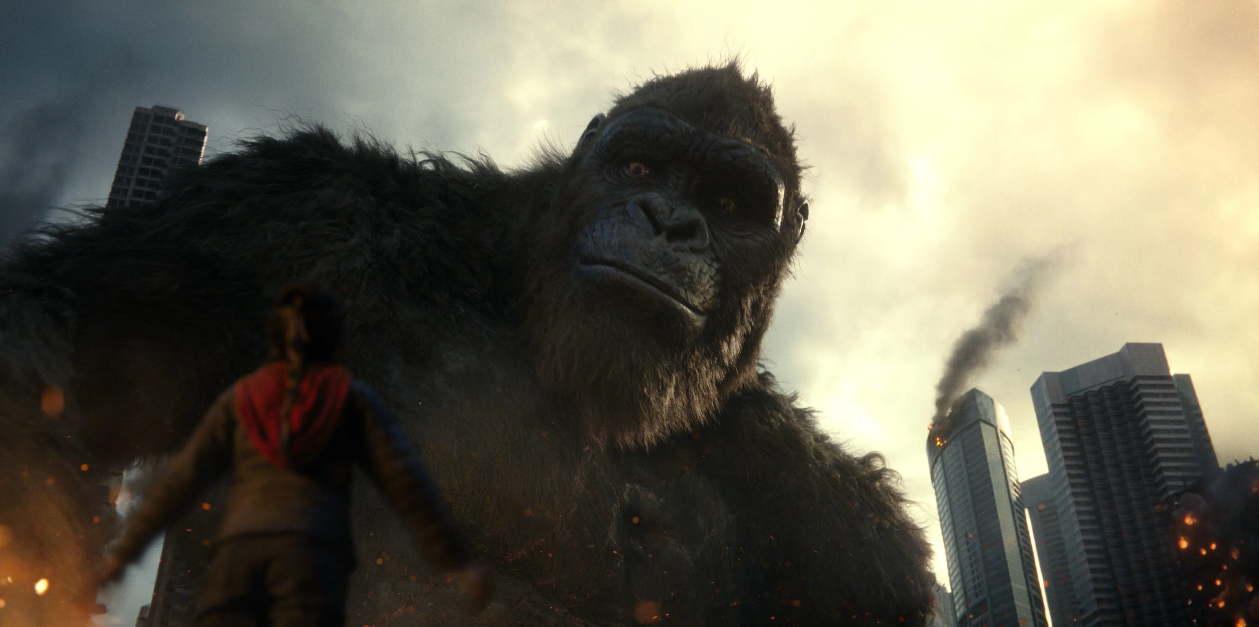 King Kong Facing Man In City HD Wallpaper