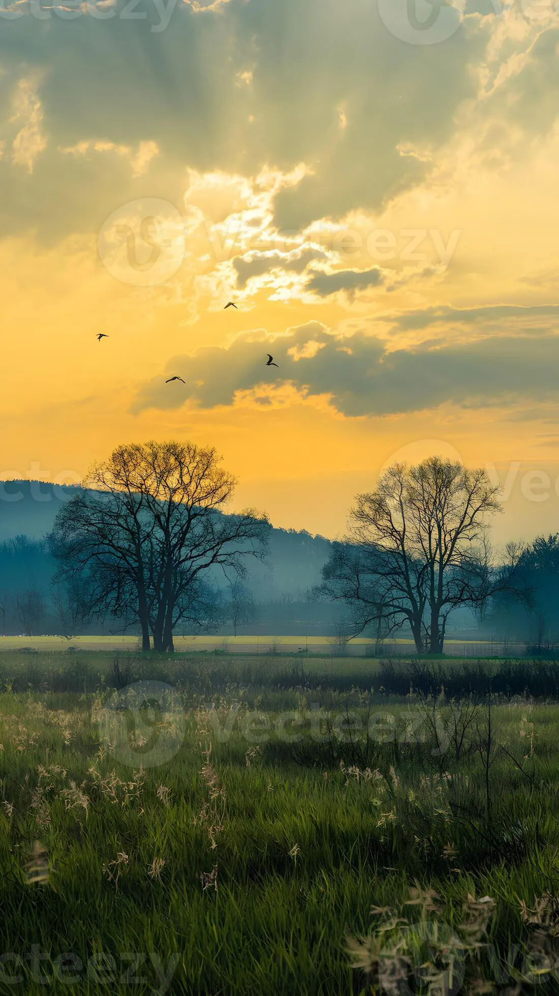Golden sunset with two trees and birds, serene natural landscape Vertical Mobile Wallpaper