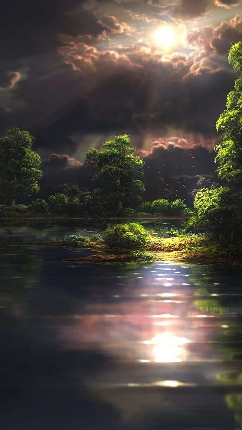 Dark nature, bird, clouds, lake, light, sky, sun, tree, water, HD phone wallpaper