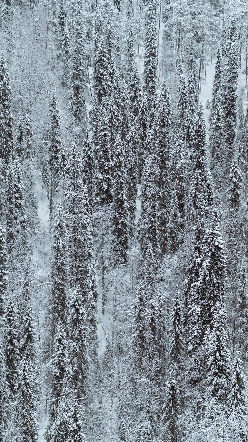 Winter iPhone Wallpaper. High Resolution Mobile Phone Background