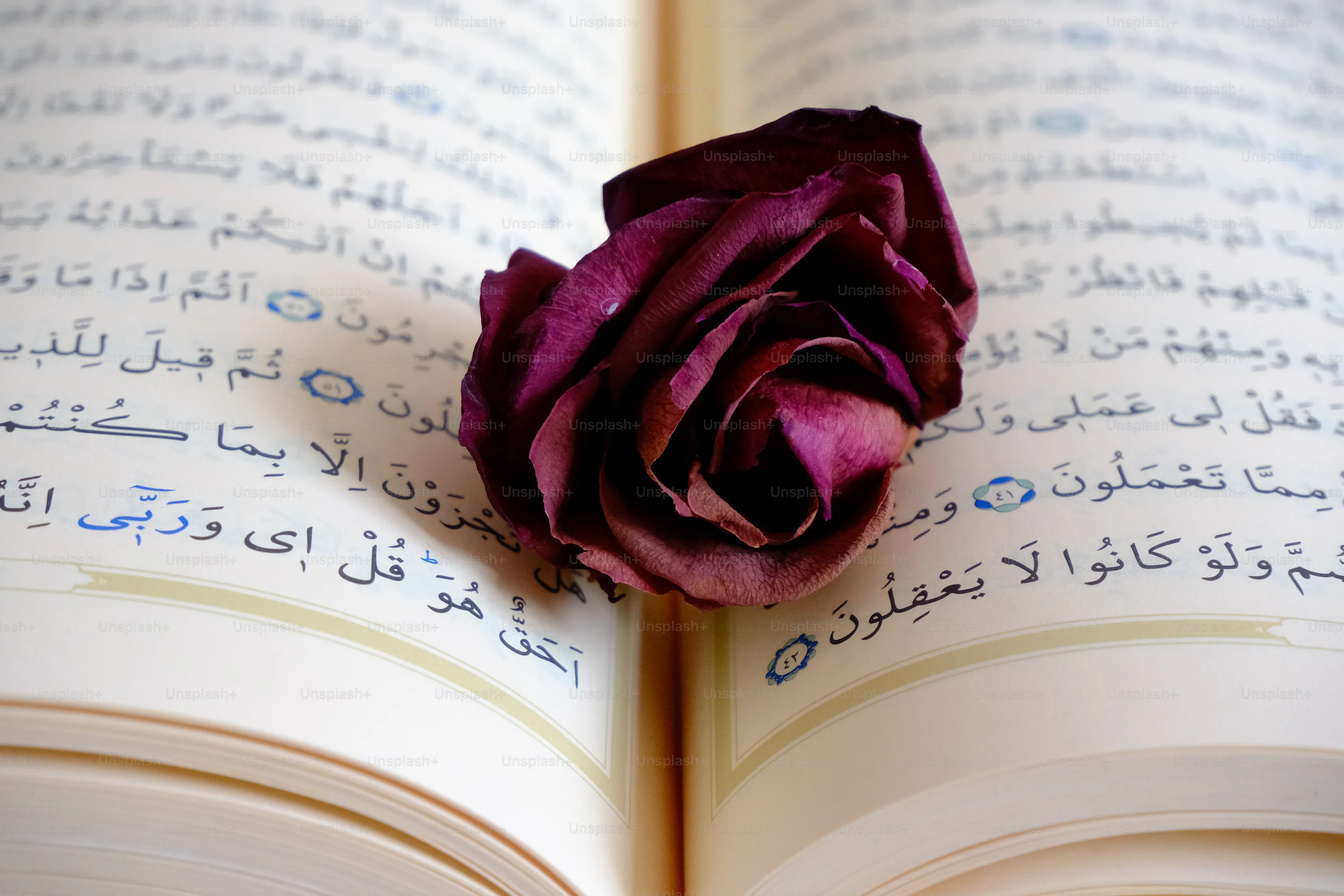 Allah Wallpaper Picture. Download Free Image