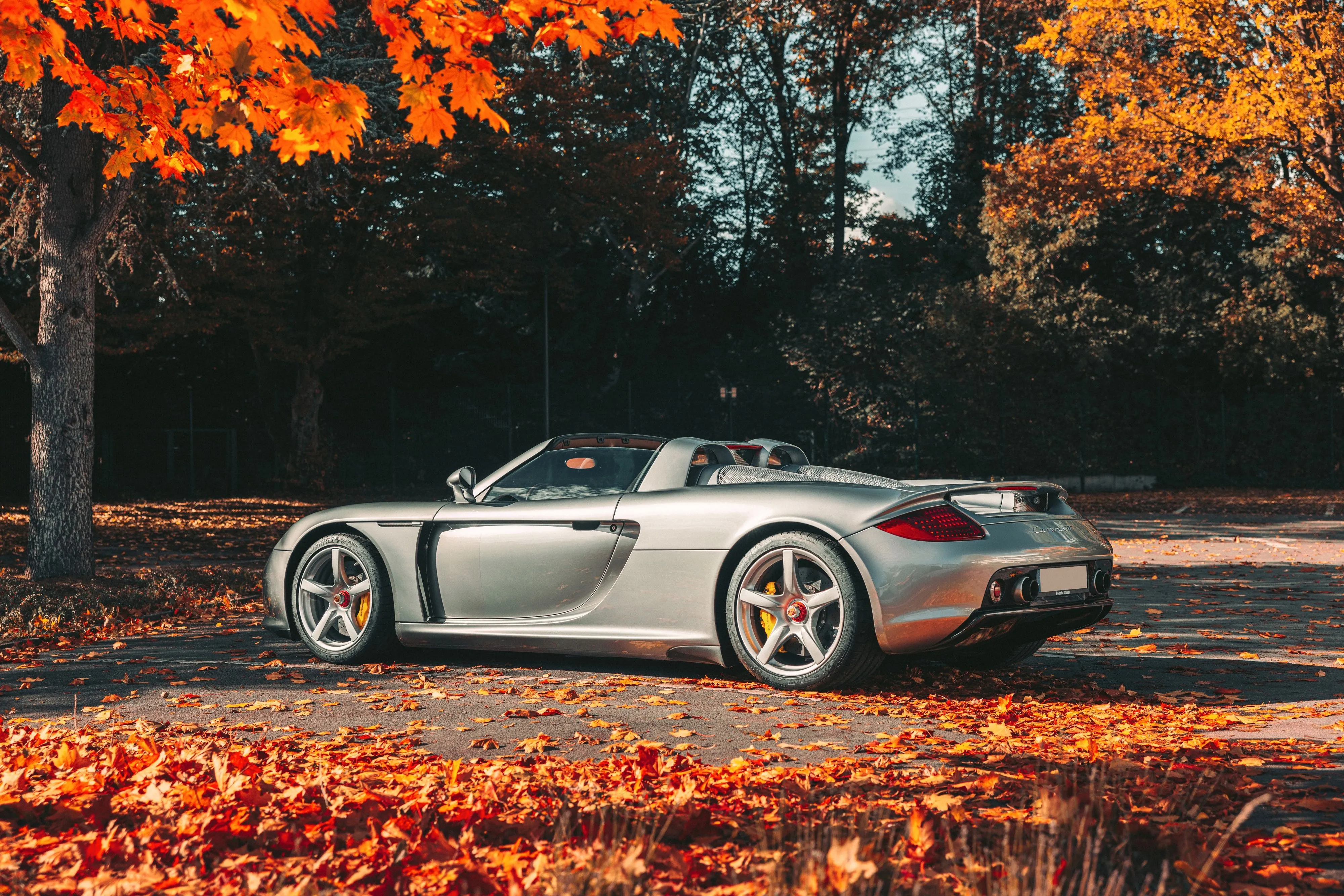 Wallpaper Porsche, Legend, Porsche Carrera GT, Iconic for mobile and desktop, section porsche, resolution 4000x2668