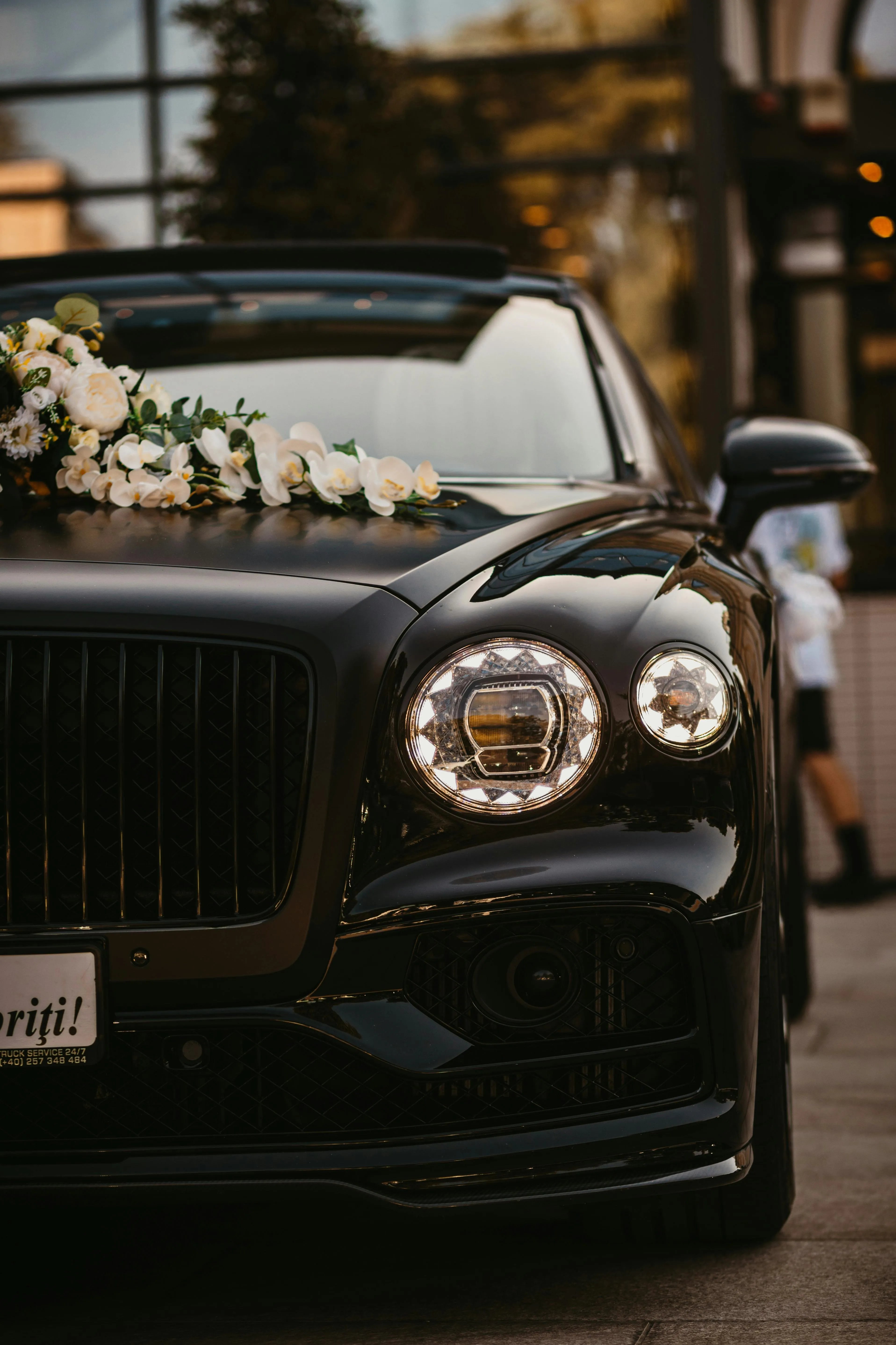 100,Best Luxury Photo · 100% Free Downloads