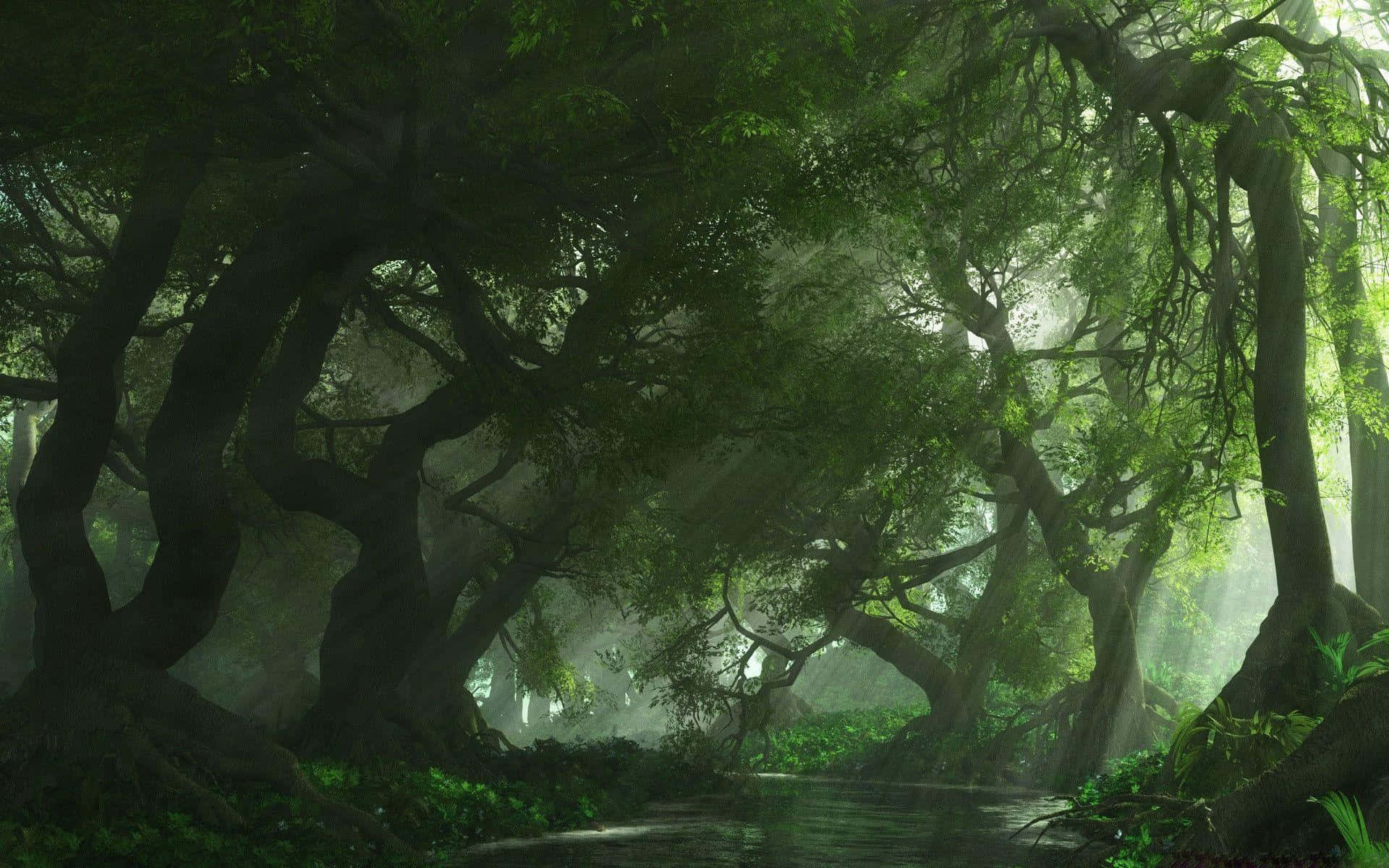 Download Discover the beauty of nature in the natural wonder of Forest Green. Wallpaper