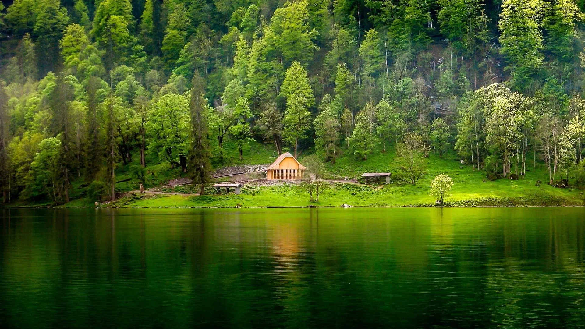 nature, Landscape, Green, Lake, Forest, Grass, Mist, Hill, Cabin, Trees, Water Wallpaper HD / Desktop and Mobile Background