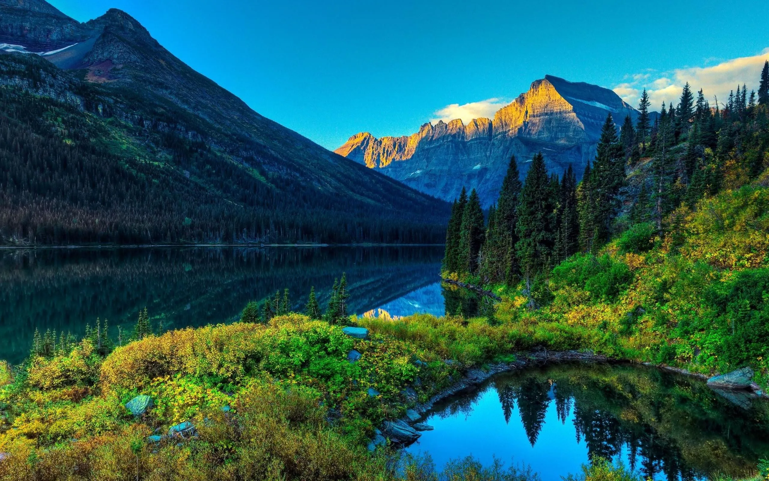 Green Forest Nature Nature Landscape Wallpaper