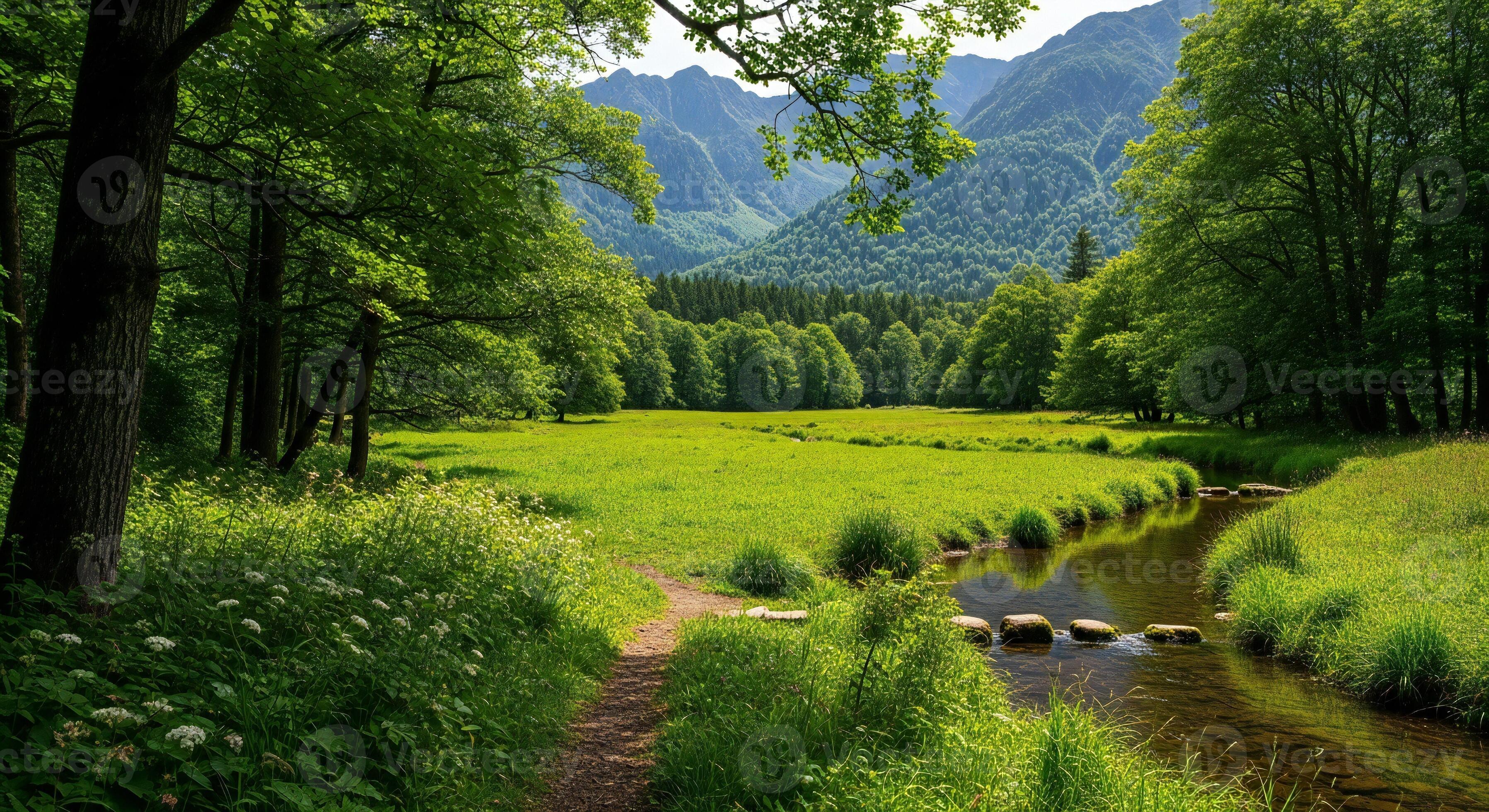 Nature background, Nature wallpaper, Verdant forest opens to a sunlit meadow with a meandering stream and distant mountains