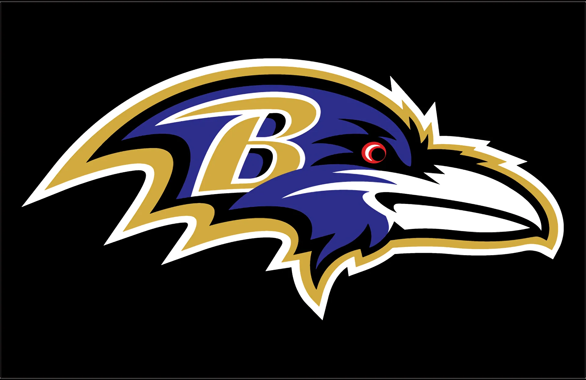 Download Baltimore Ravens Sports HD Wallpaperx1245