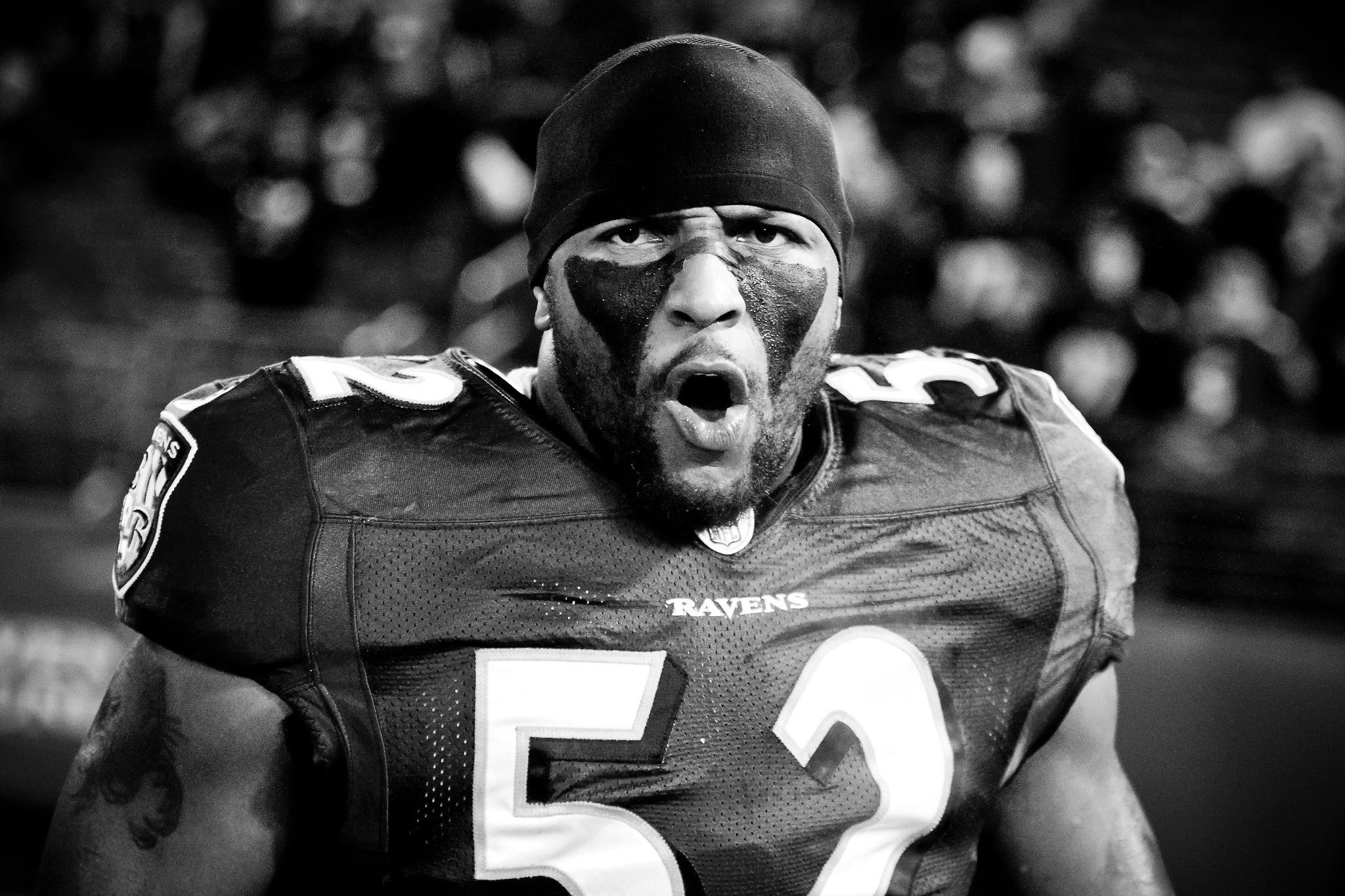 ray lewis, american football, baltimore ravens Wallpaper, HD Sports 4K Wallpaper, Image and Background
