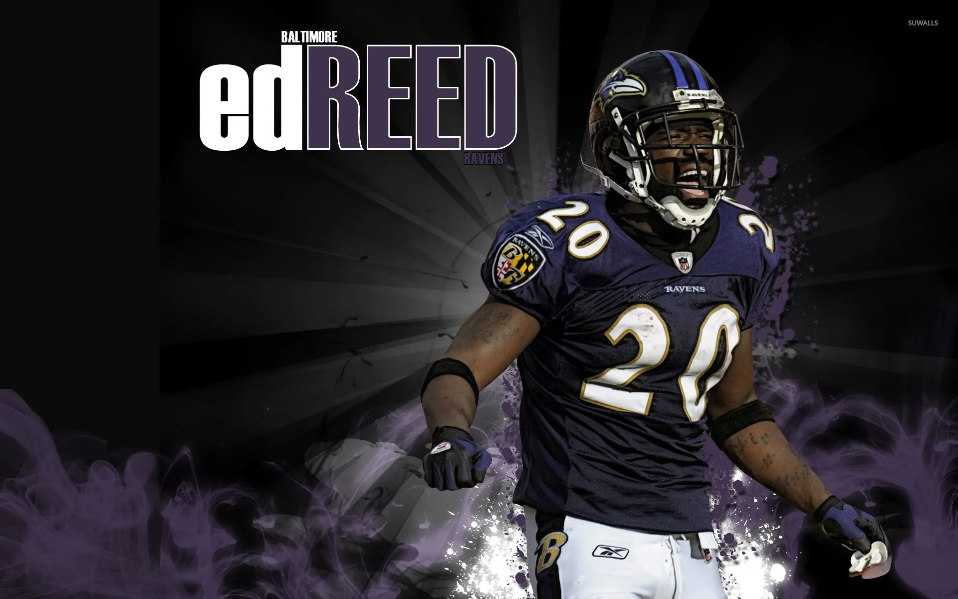 Ed Reed wallpaper wallpaper