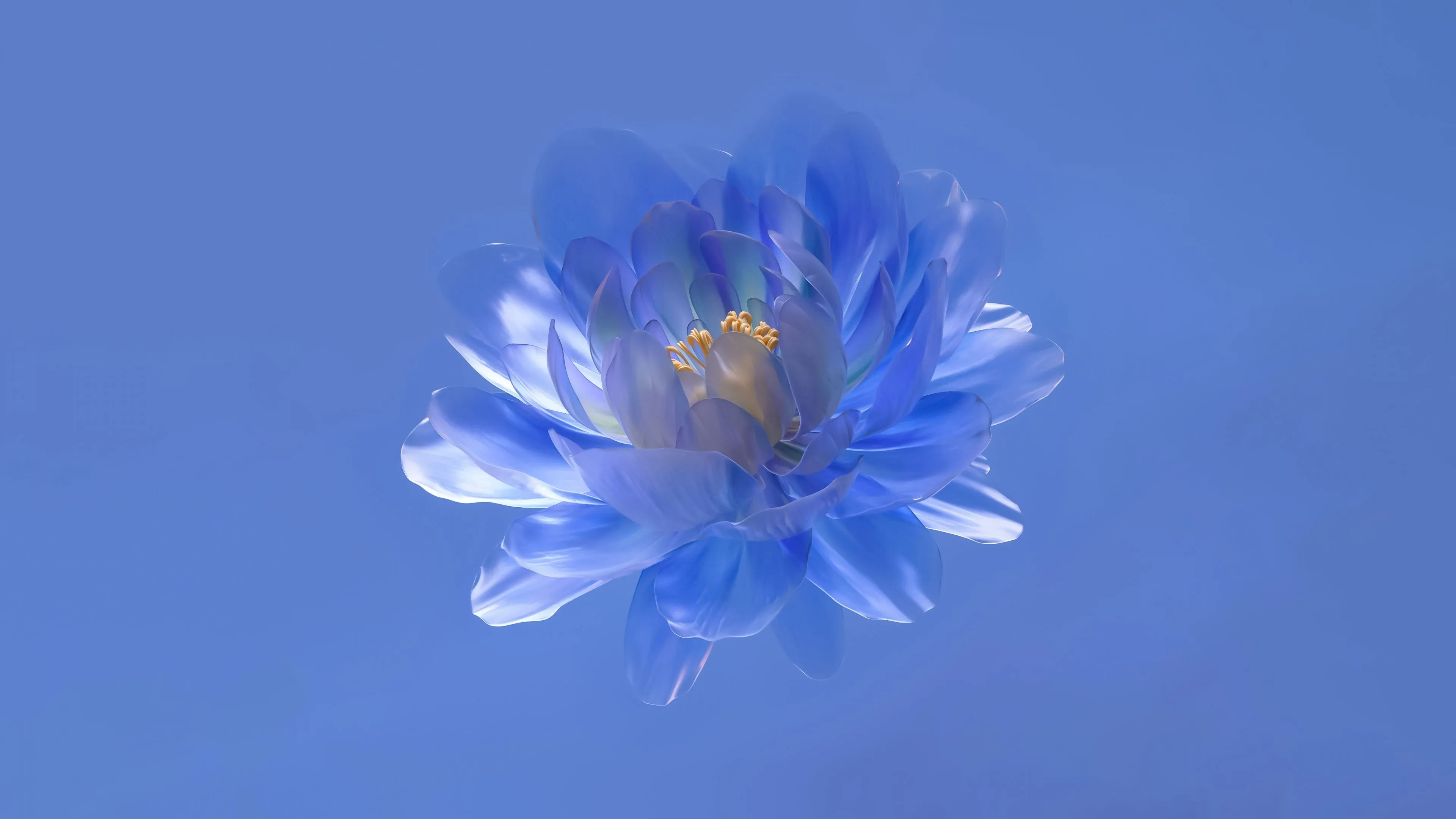 Abstract flower Wallpaper 4K, Blue aesthetic, Blue background