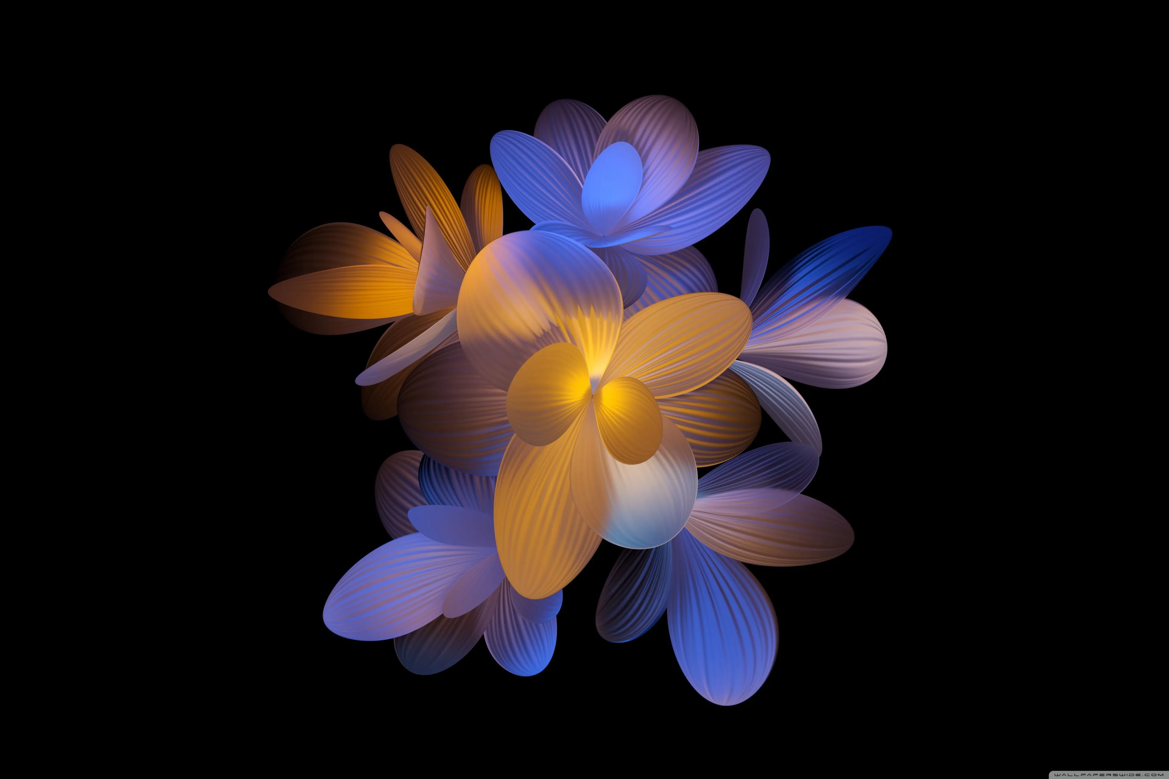 Flowers Dark Aesthetic 4K UHD Wallpaper for UltraHD Desktop and TV, Widescreen and UltraWide Display, Dual and Triple Monitor, Smartphone and Tablet Devices
