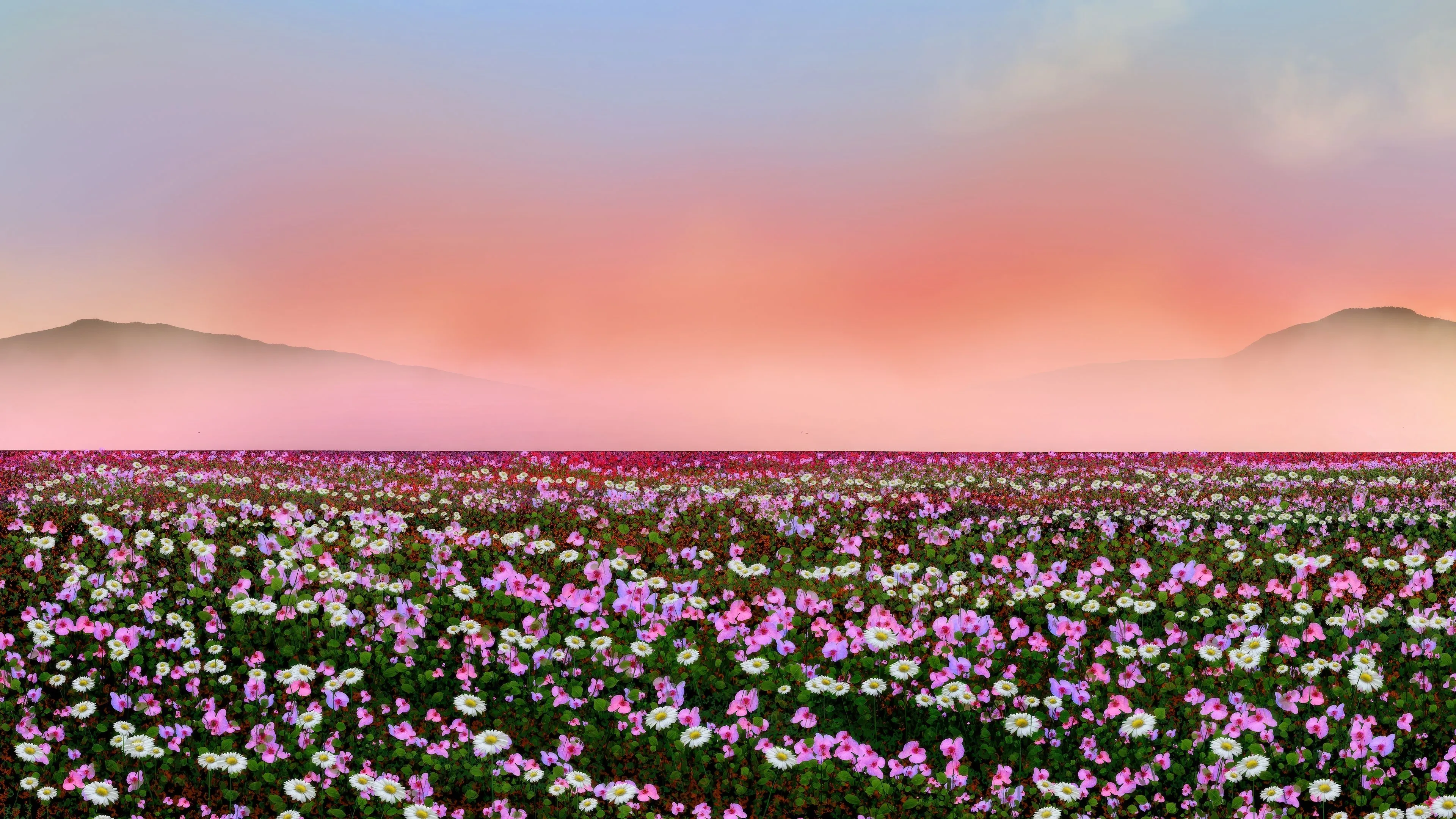 Flowers Field Wallpaper, HD Nature Wallpaper, 4k Wallpaper, Image, Background, Photos and Picture