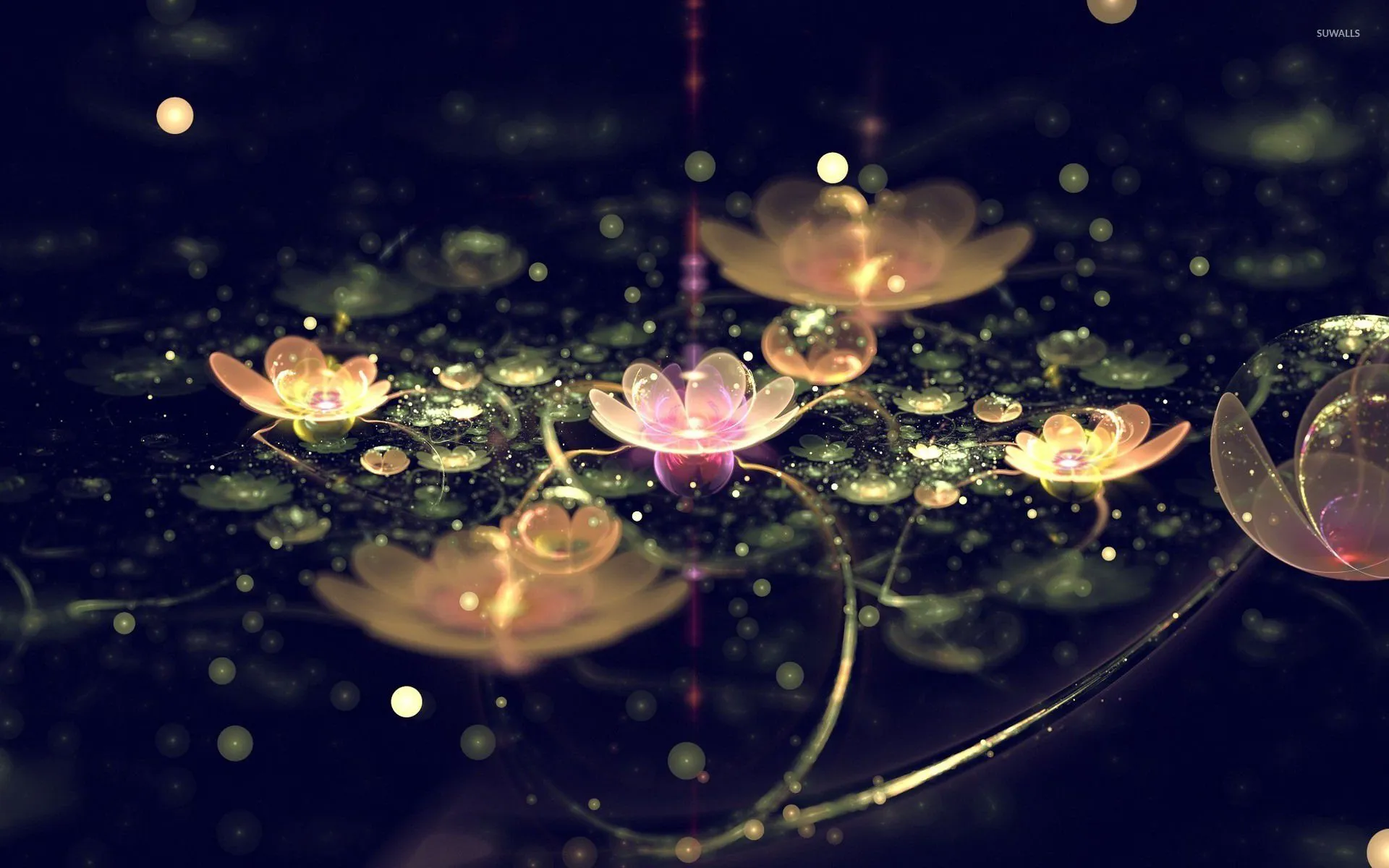 Water Lily HD Desktop Wallpaper 119435