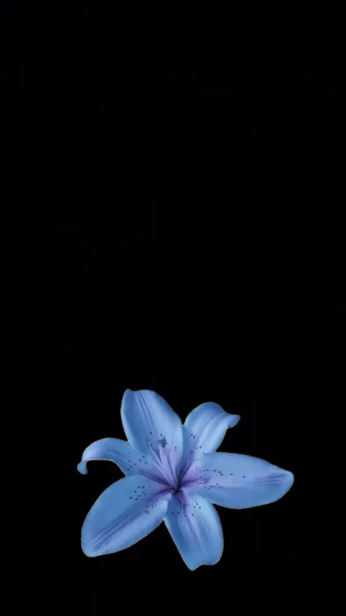 Lily wallpaper. Lily wallpaper, Pretty wallpaper ipad, Simple phone wallpaper