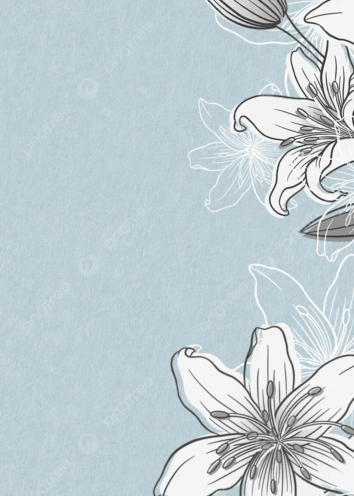 Lily Flower Background Wallpaper Image For Free Download
